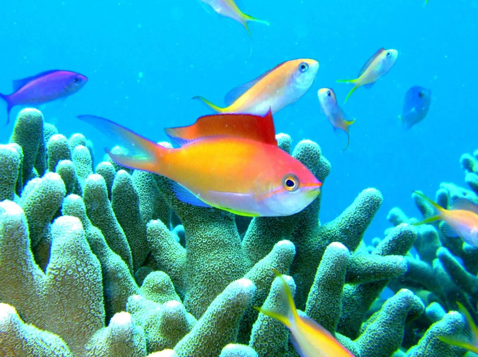 Off site in Marine Lodge Marea Ishigaki