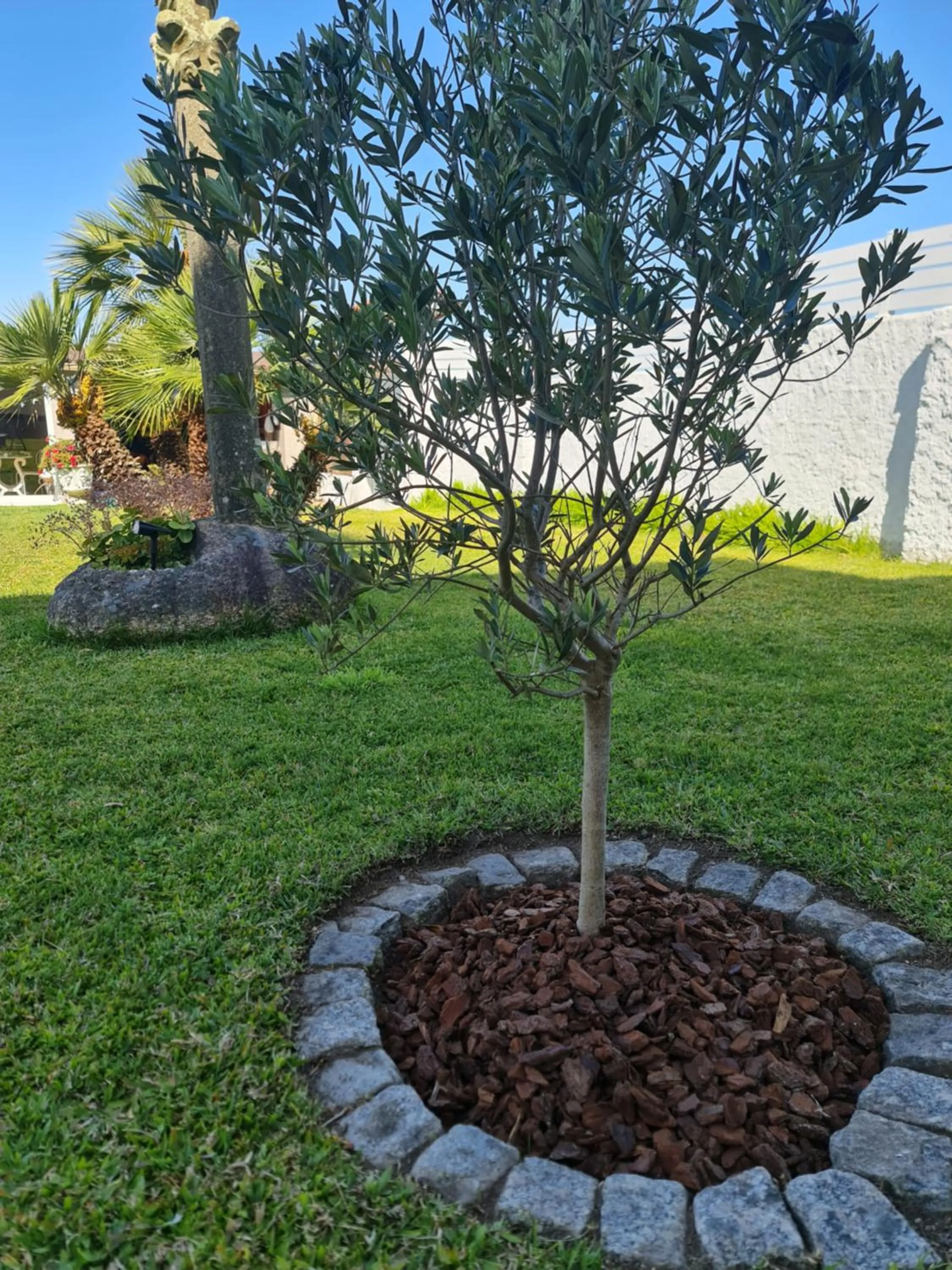 Casa A Pastora