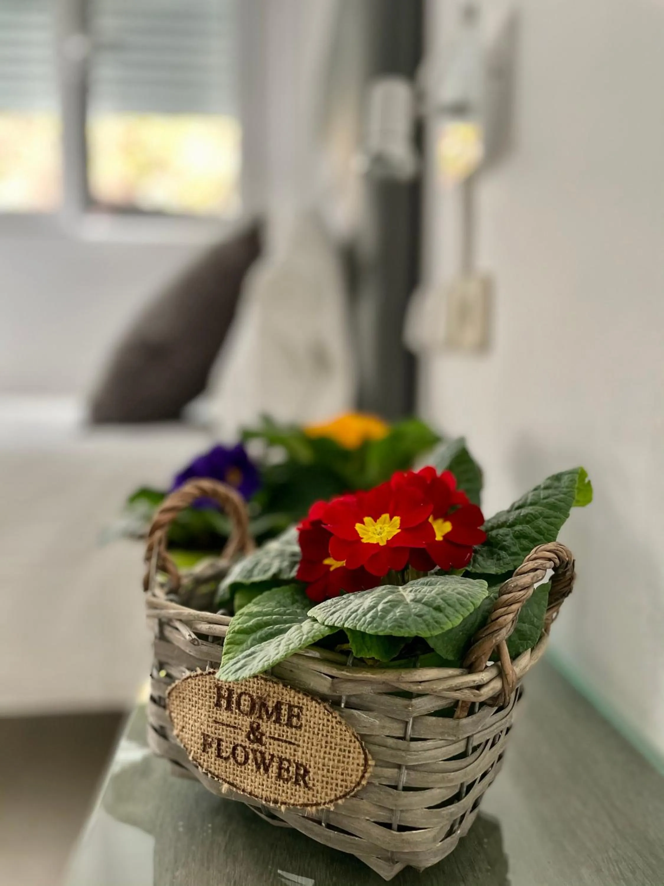 Other in Hostal Lleida