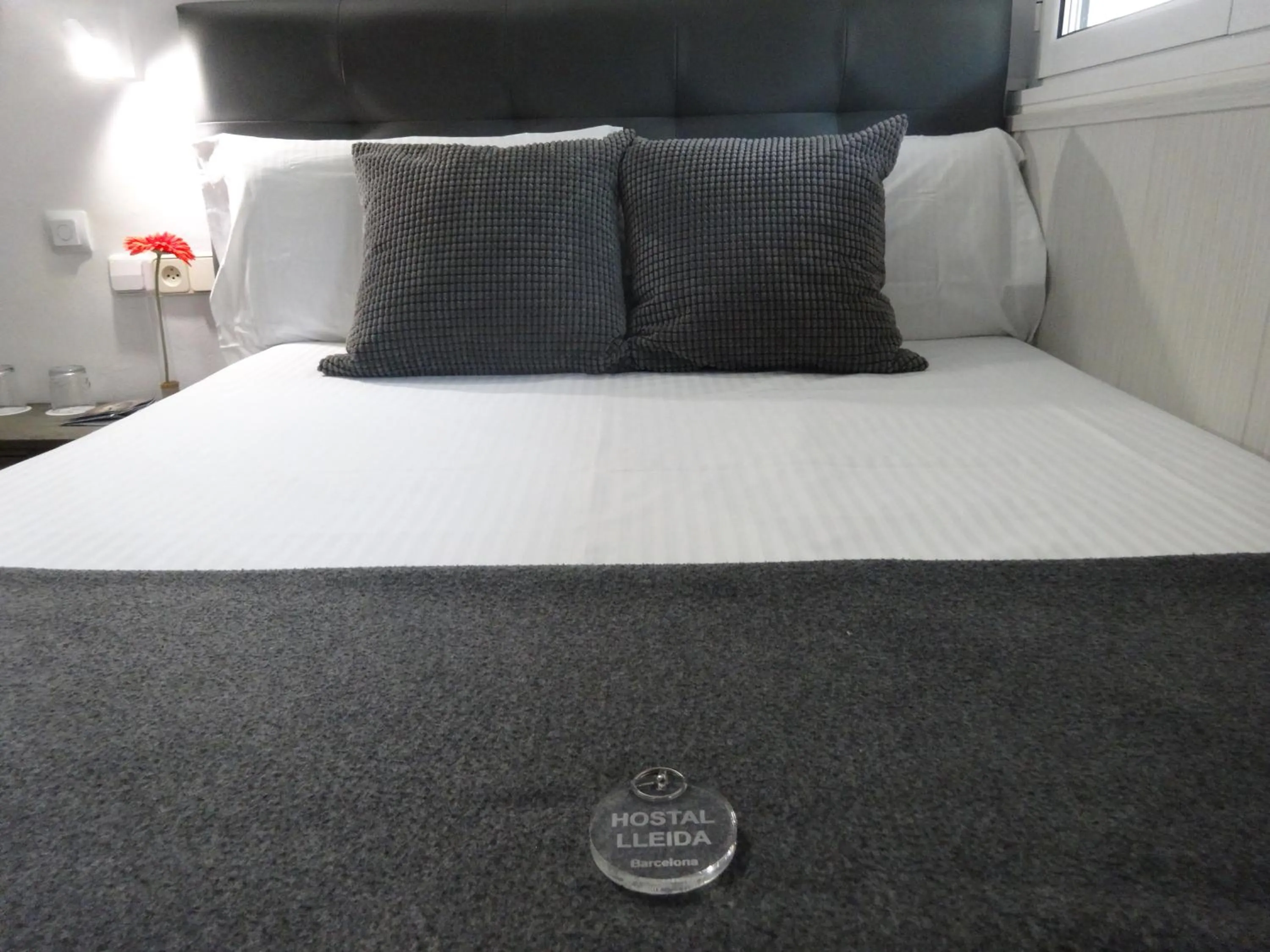 Logo/Certificate/Sign, Bed in Hostal Lleida