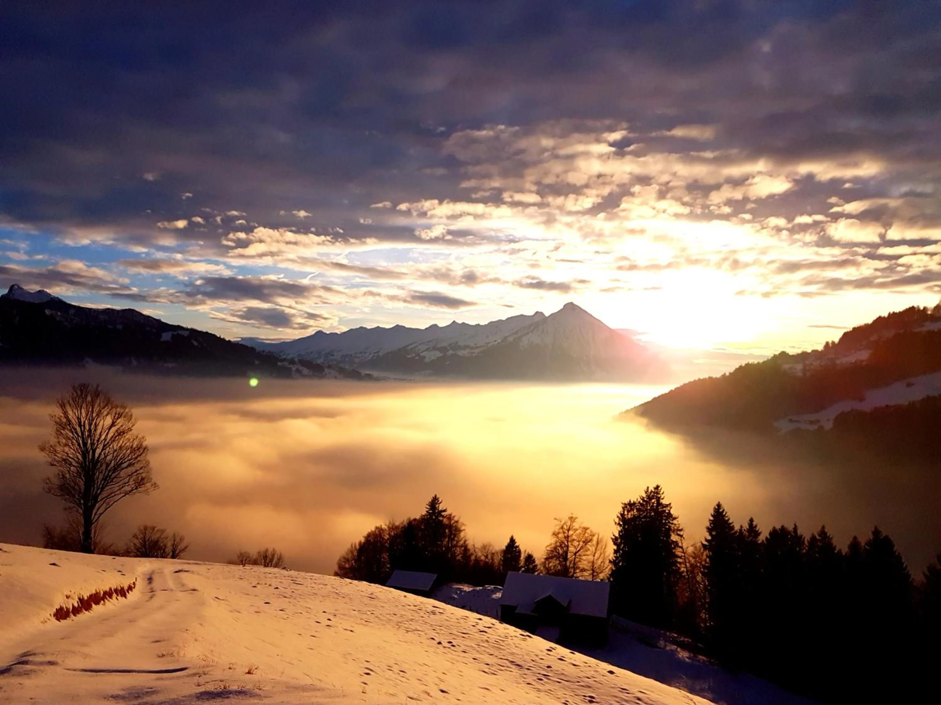 Natural landscape in Hotel Sterne