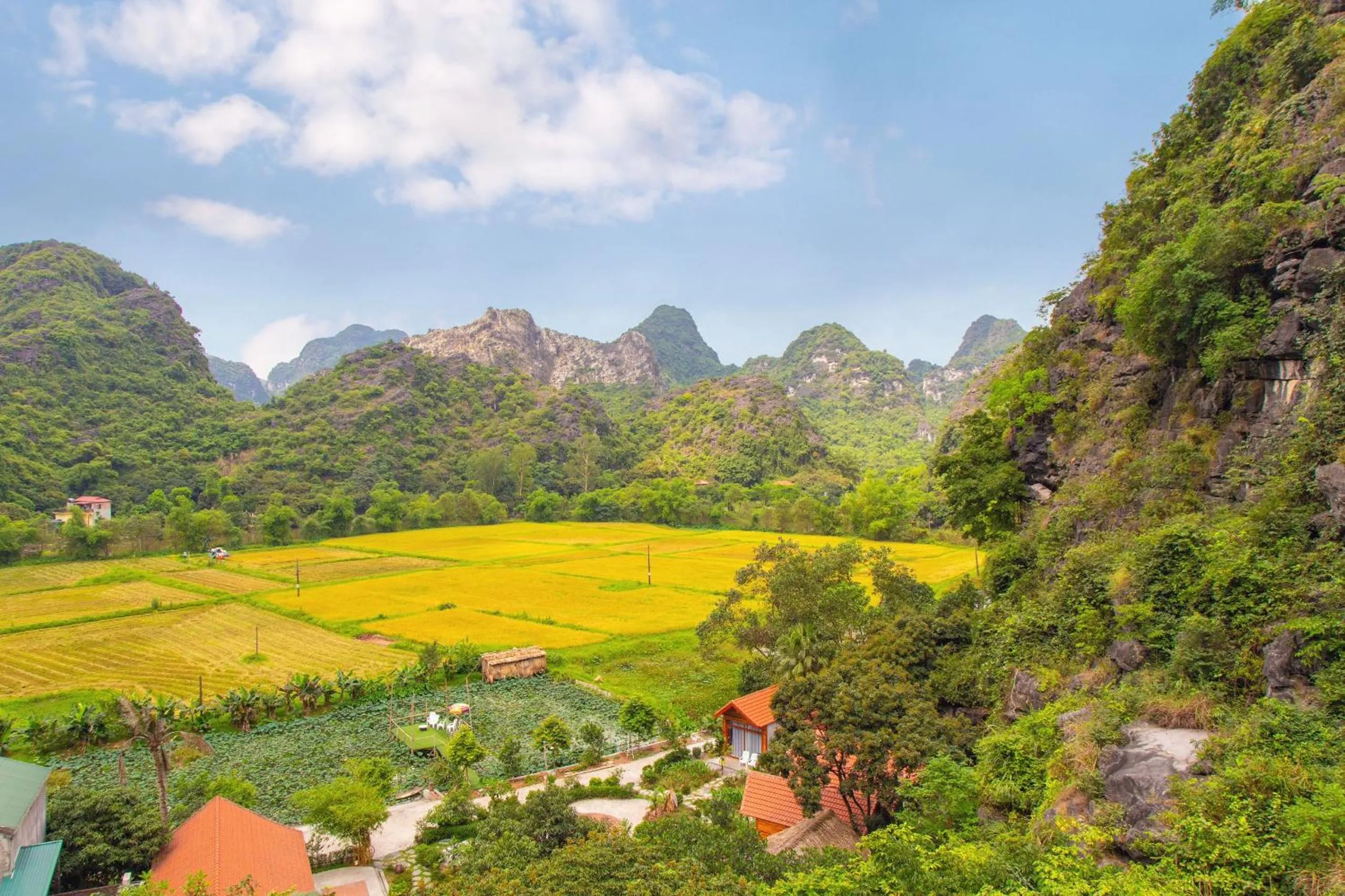 Mountain view in Green Mountain Homestay