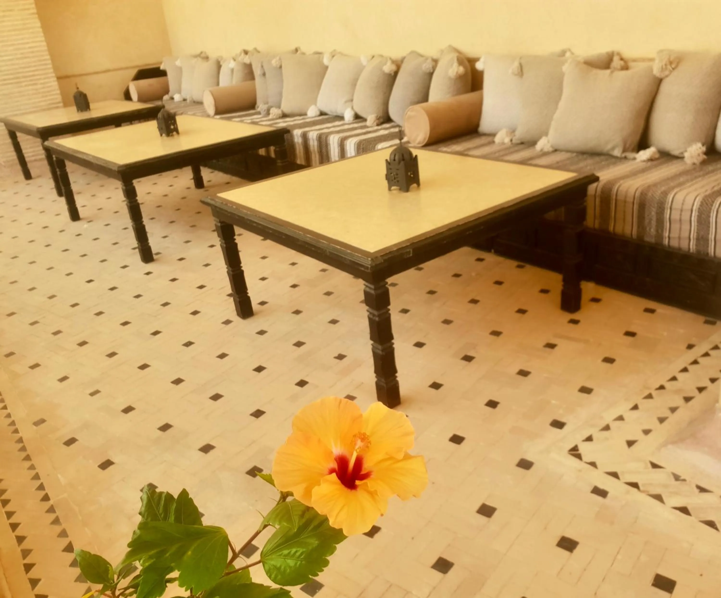 Balcony/Terrace in Riad Dar Haven