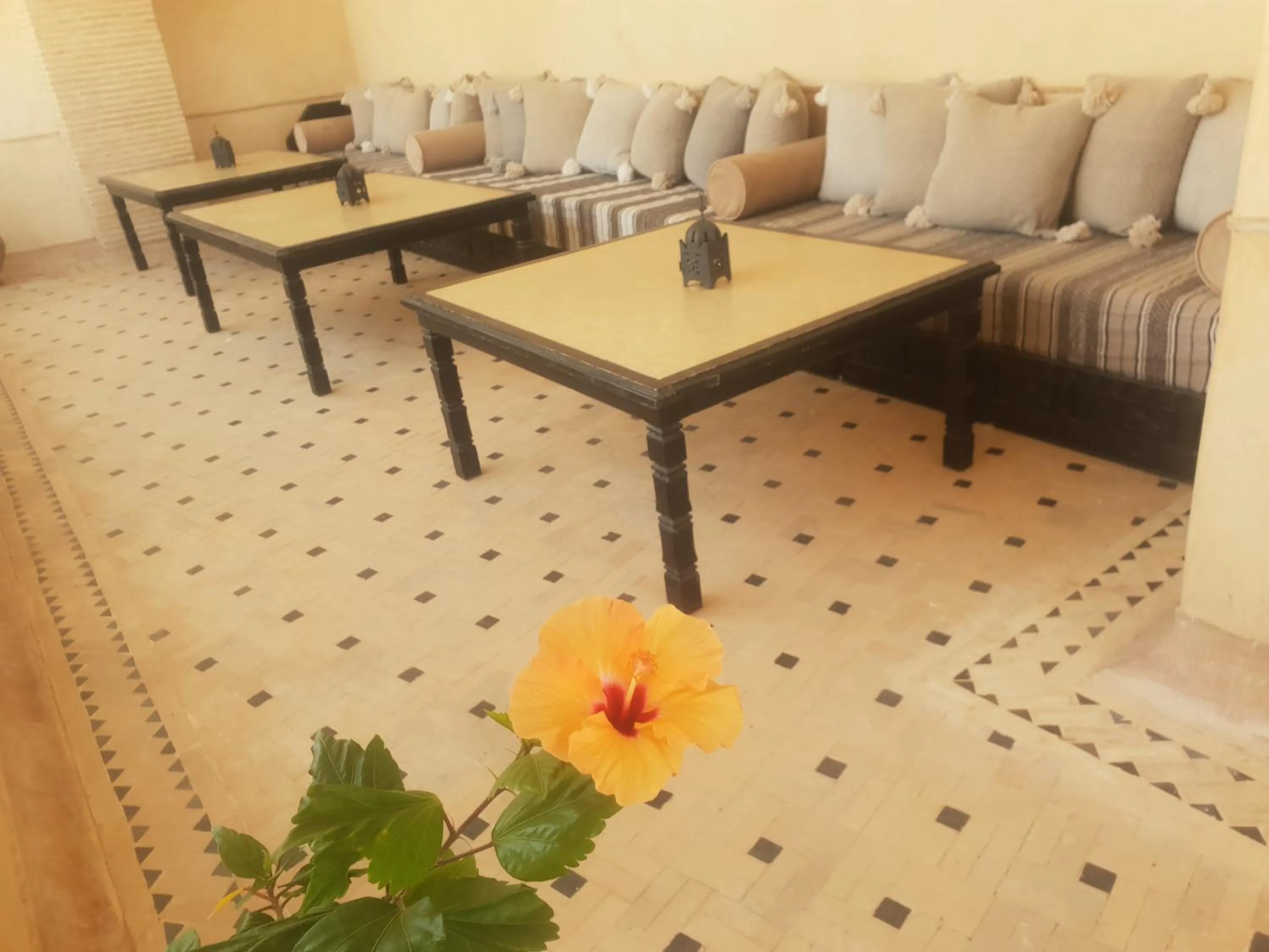 Balcony/Terrace in Riad Dar Haven