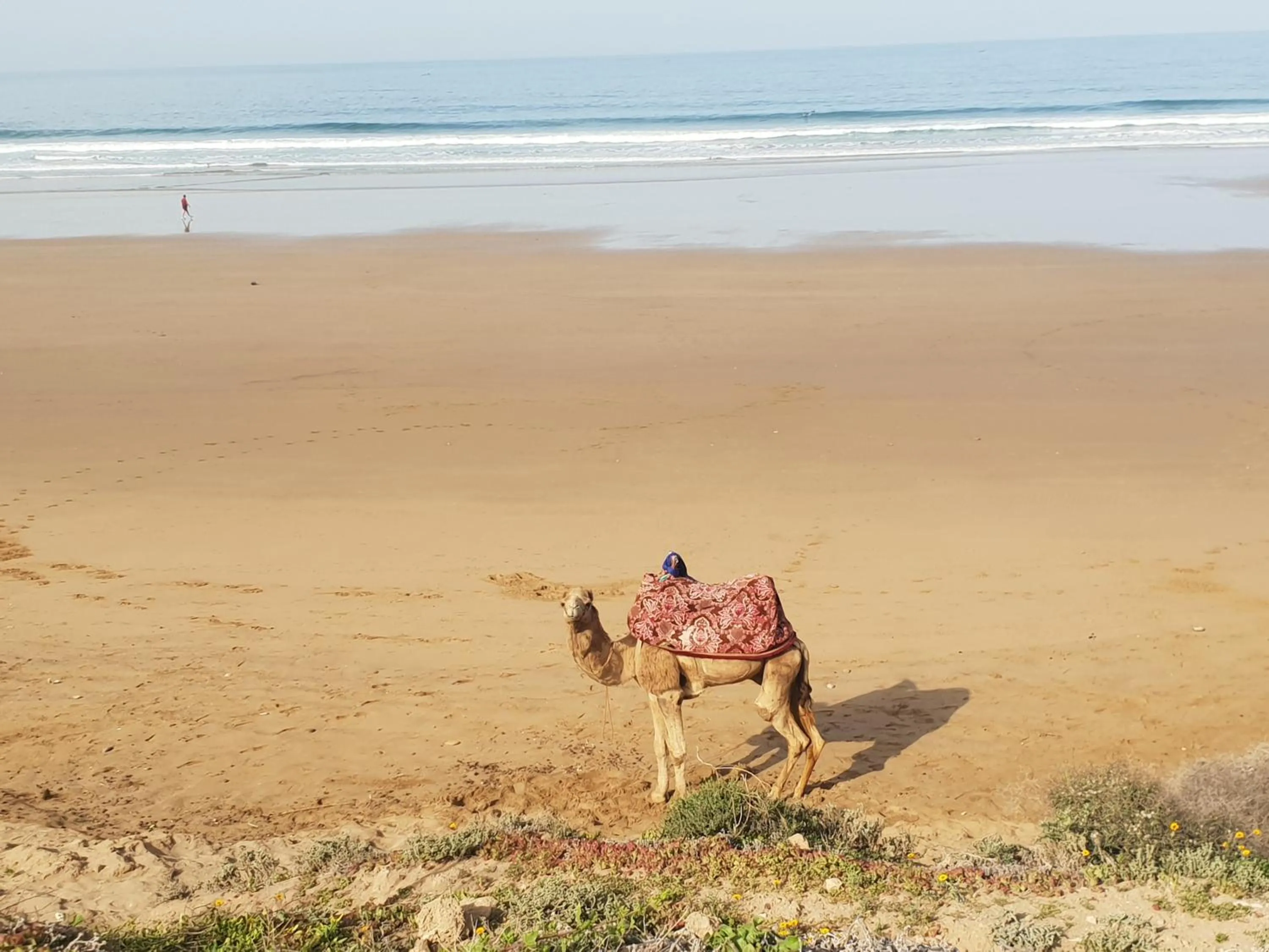 Beach in Riad Dar Haven