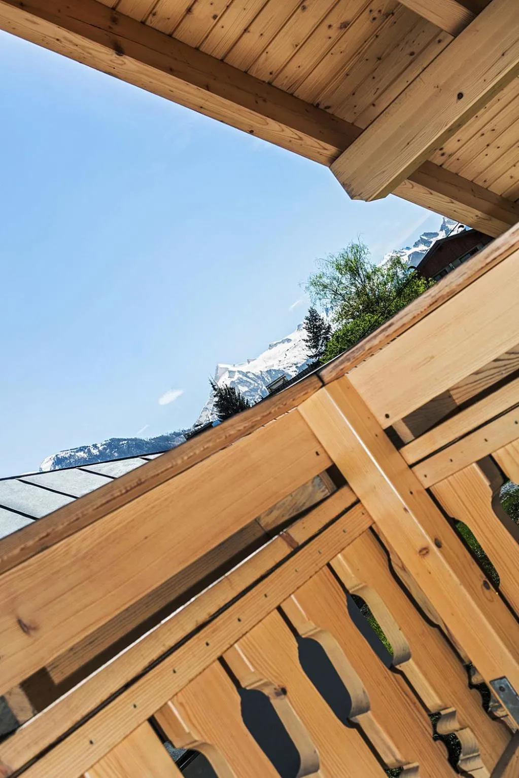 View (from property/room) in Chalet Dacha