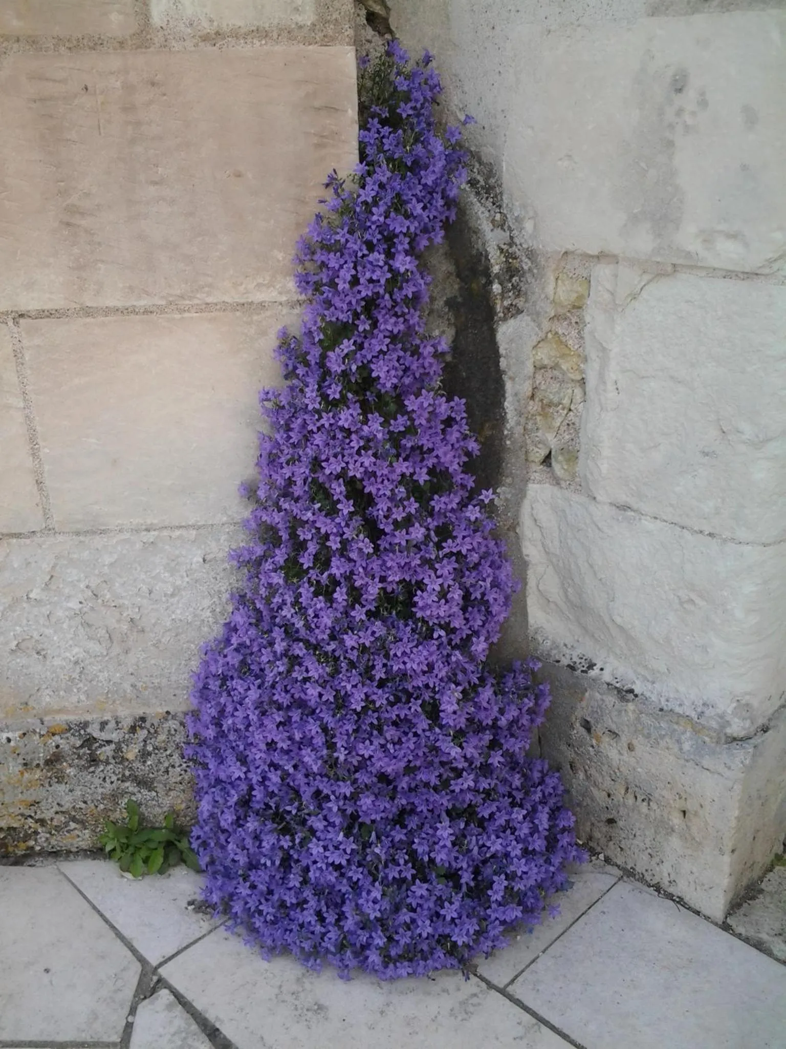 Decorative detail in La Renaudière