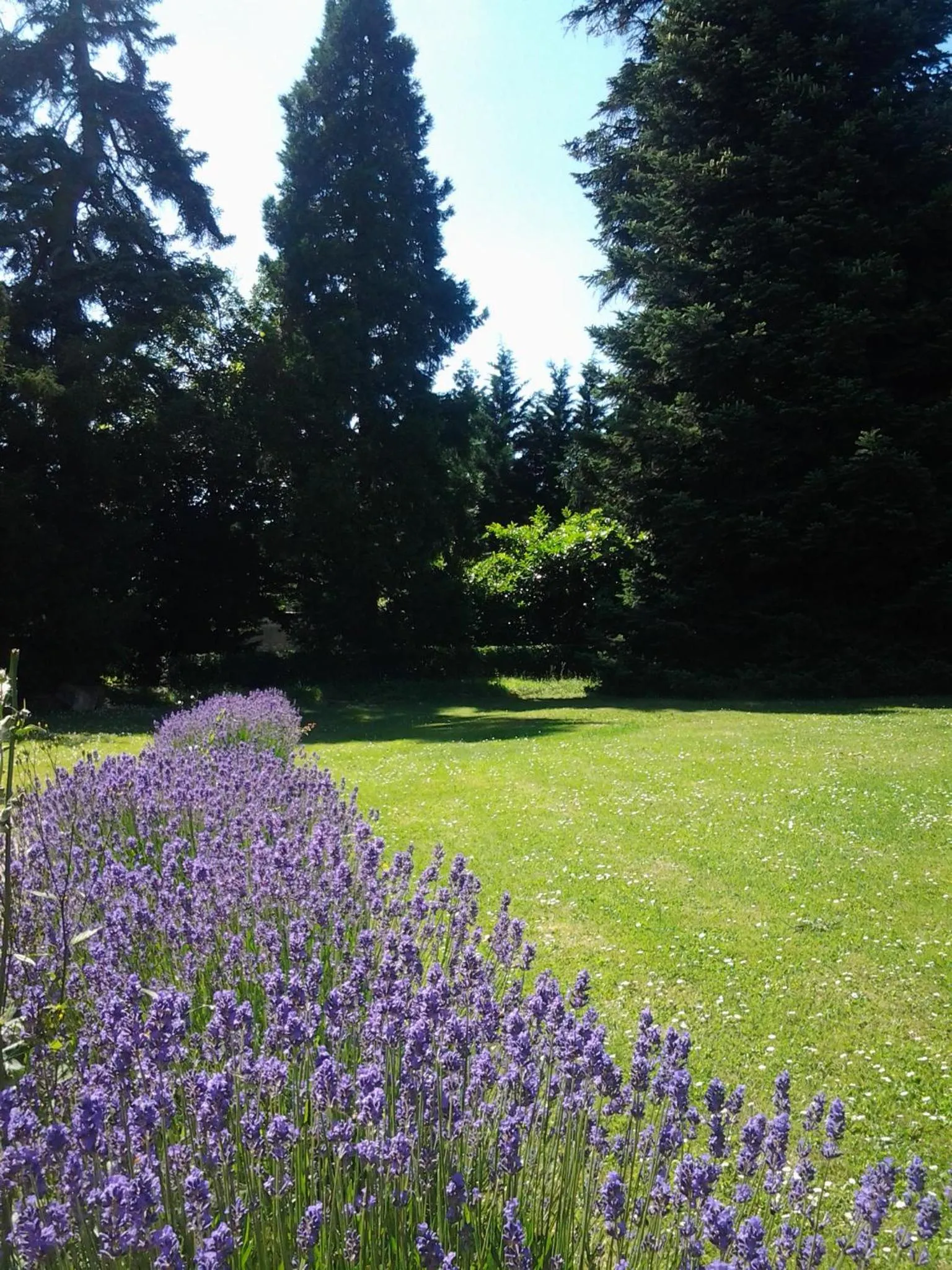 Garden in La Renaudière