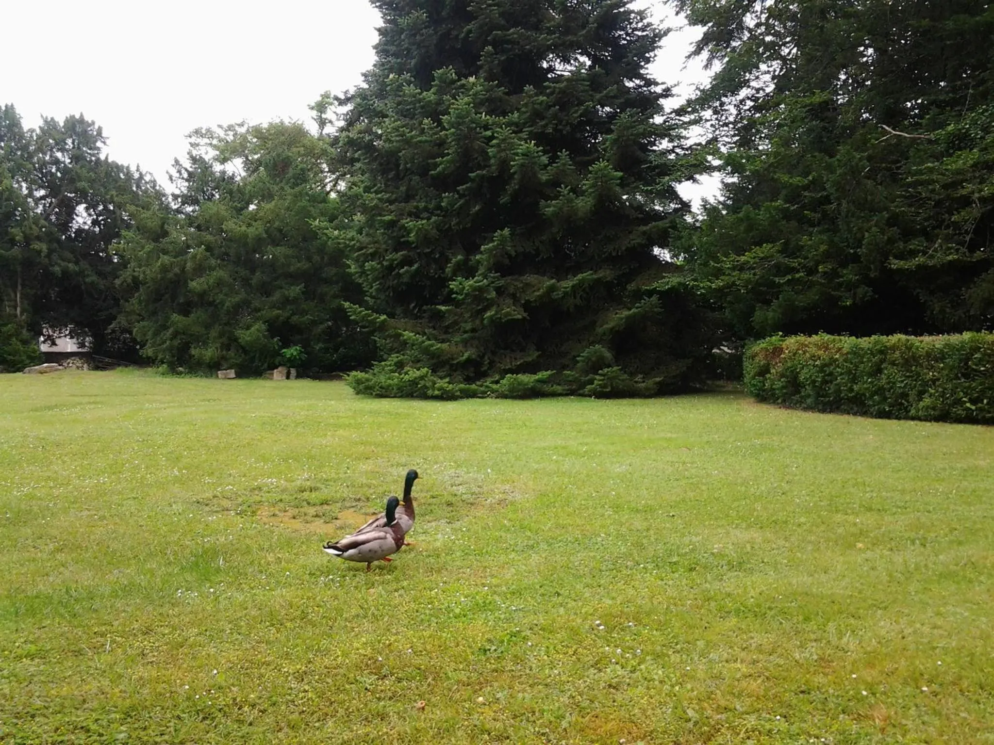 Garden in La Renaudière