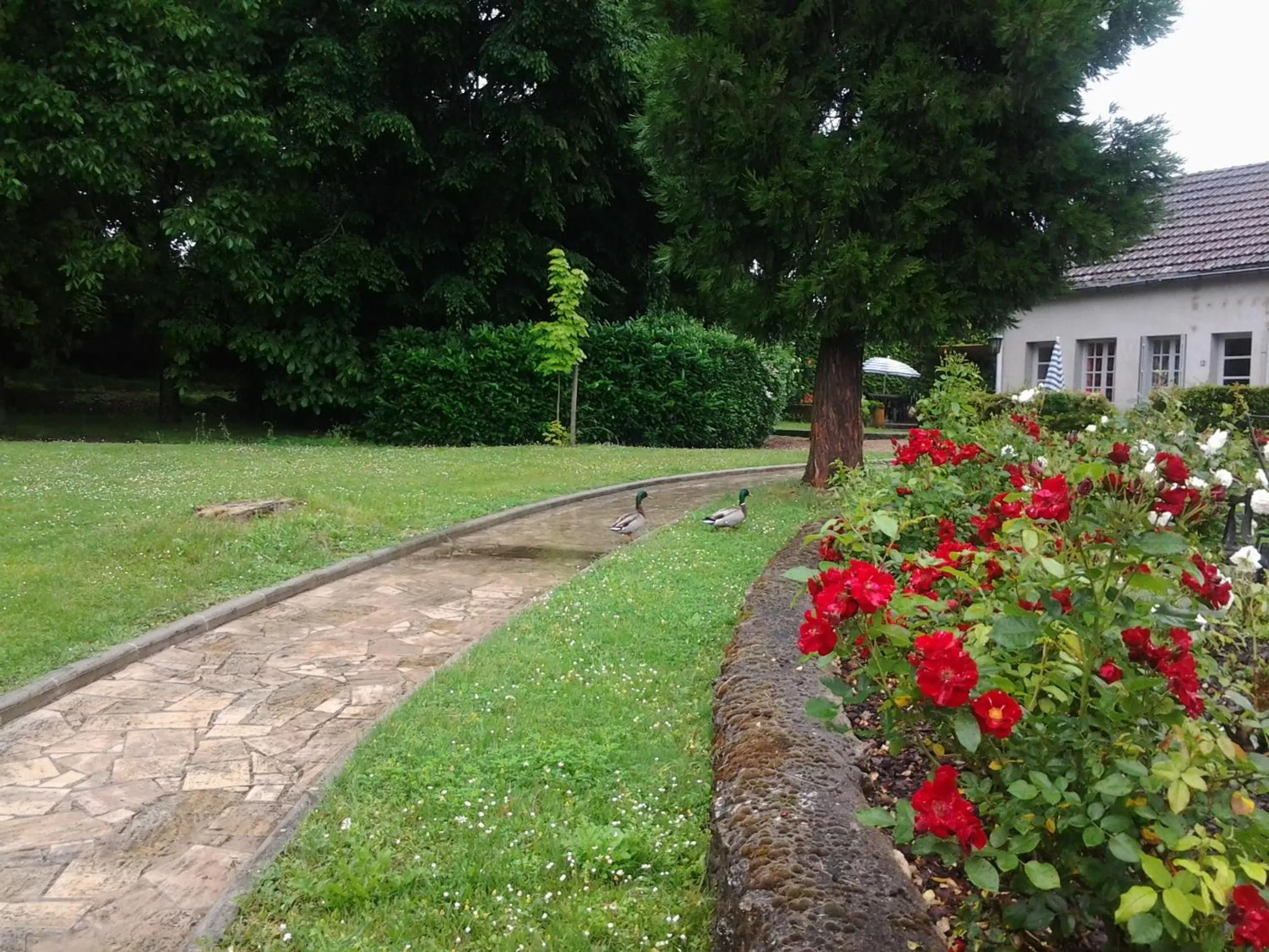 Garden in La Renaudière