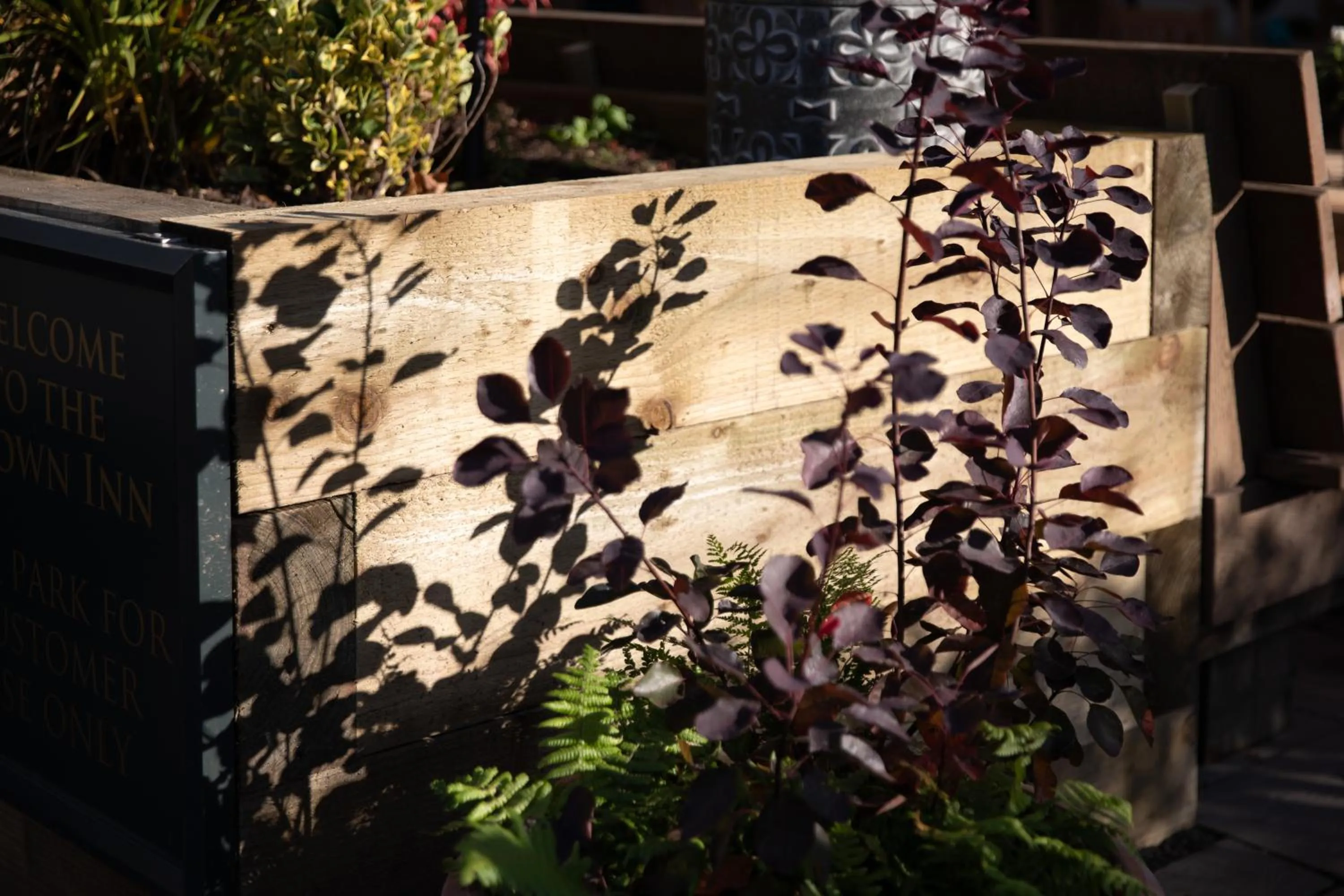 Garden in The Crown Inn