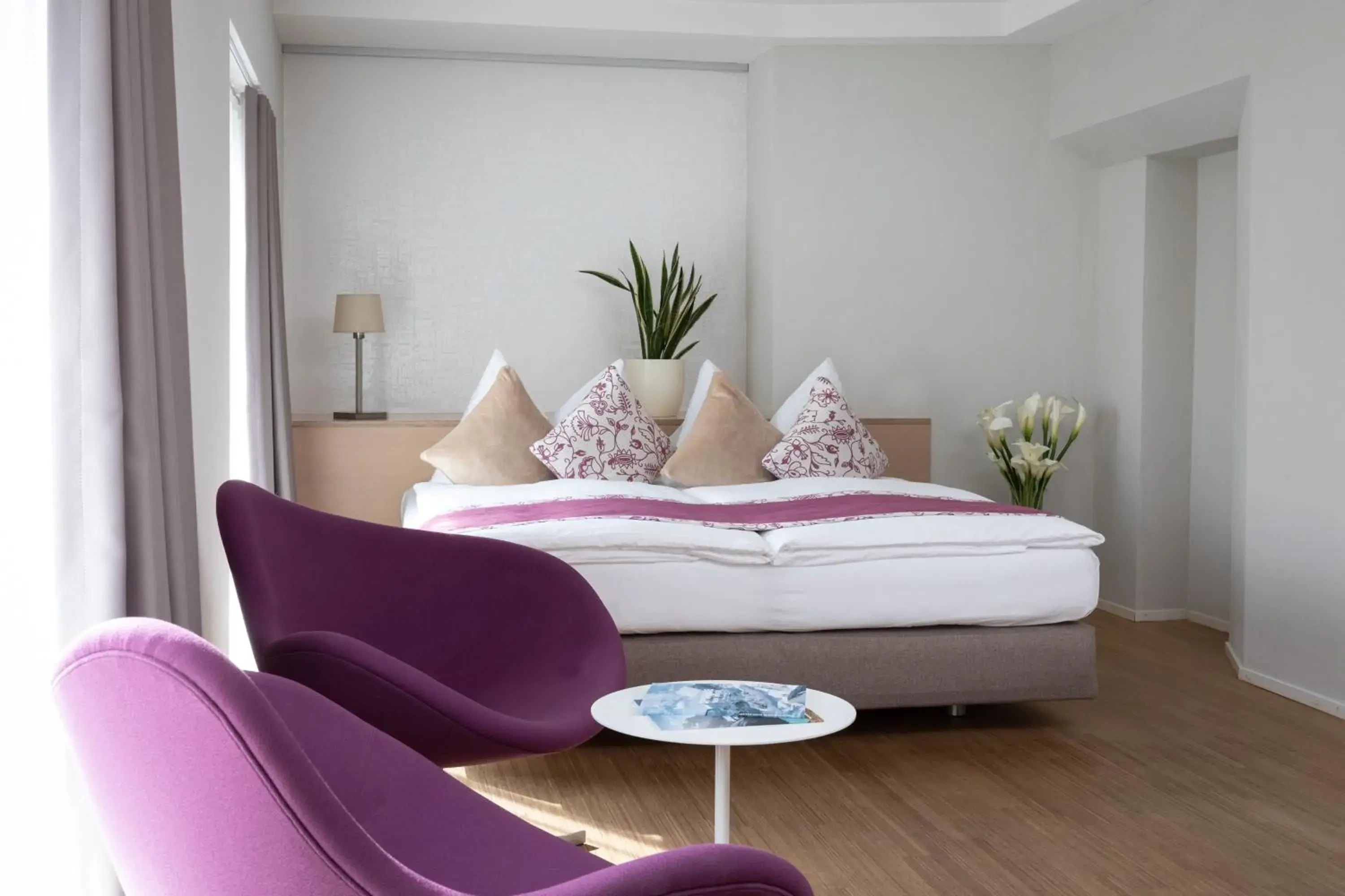 Junior Suite in Hotel Spirgarten Junior Suite in Hotel Spirgarten