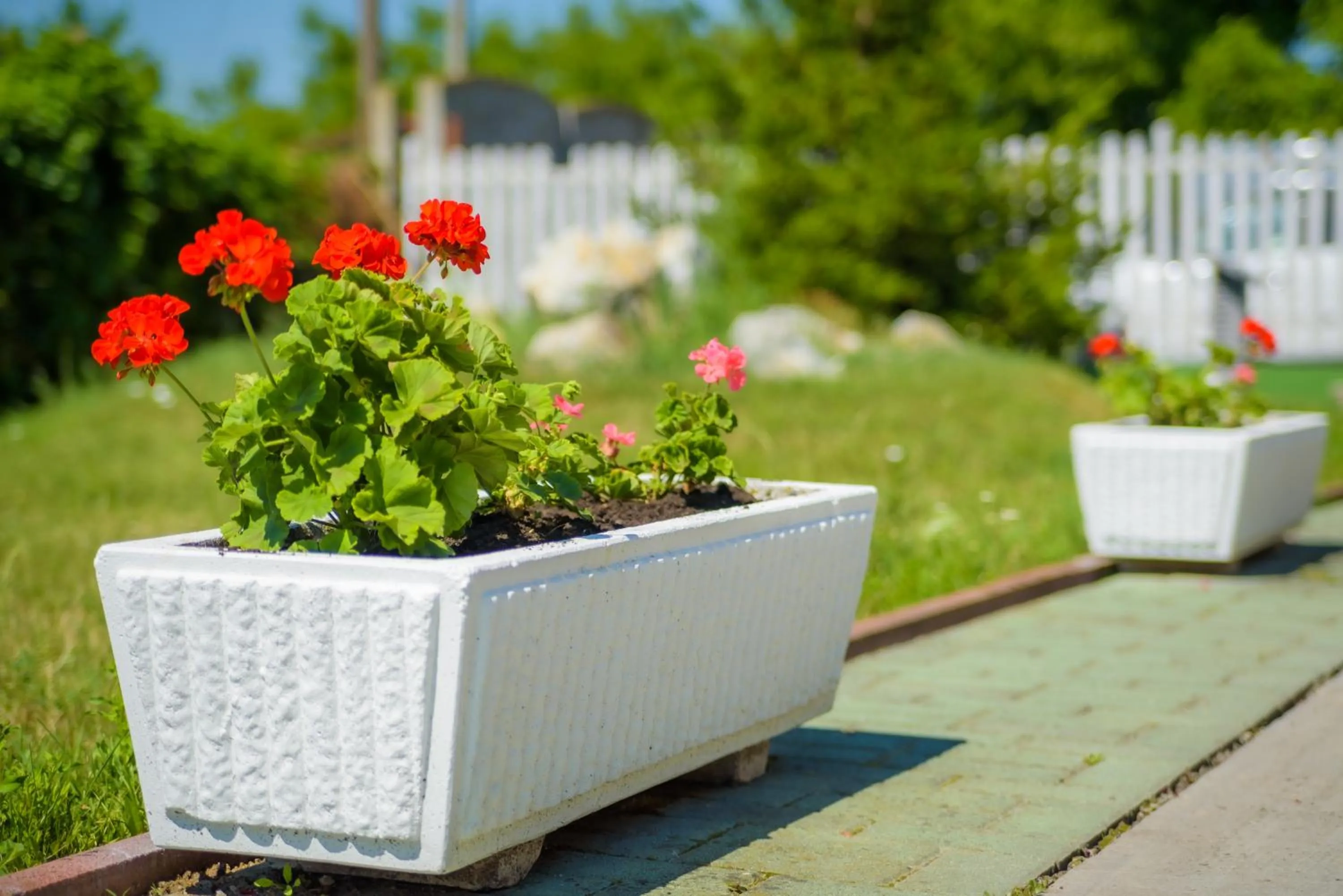 HBH Bajor Sörház Sólyomfészek Panzió