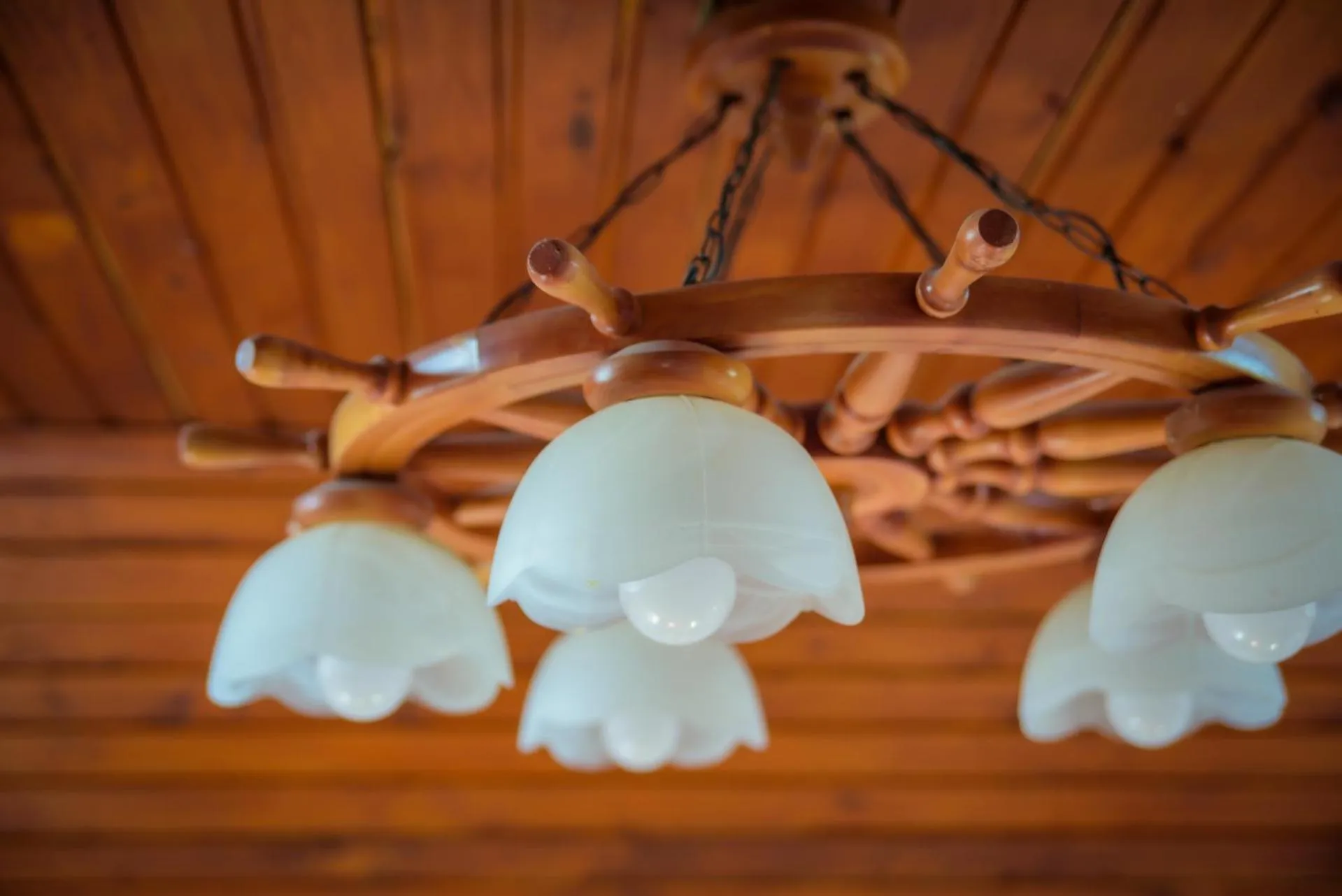 HBH Bajor Sörház Sólyomfészek Panzió