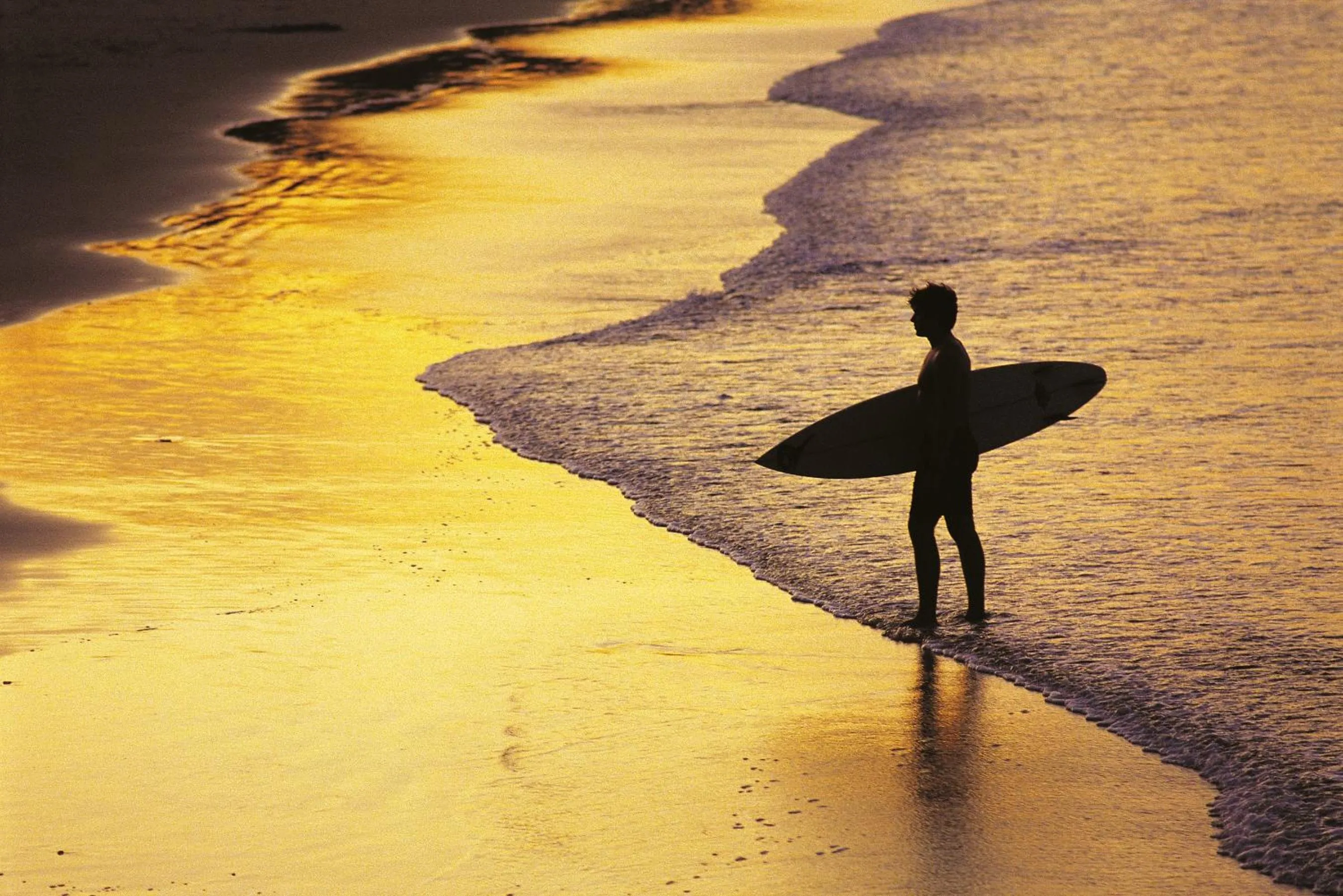 Beach in At The Sound Noosa