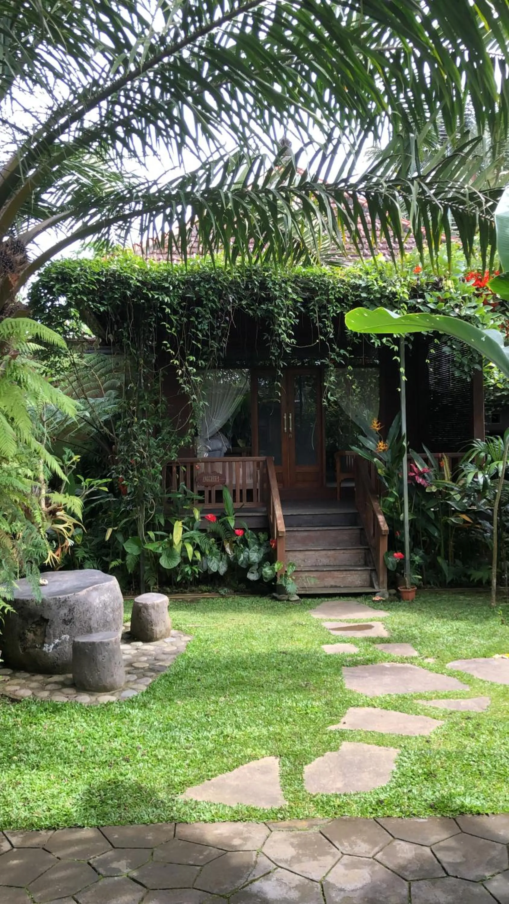 Day in Mirah Guest House