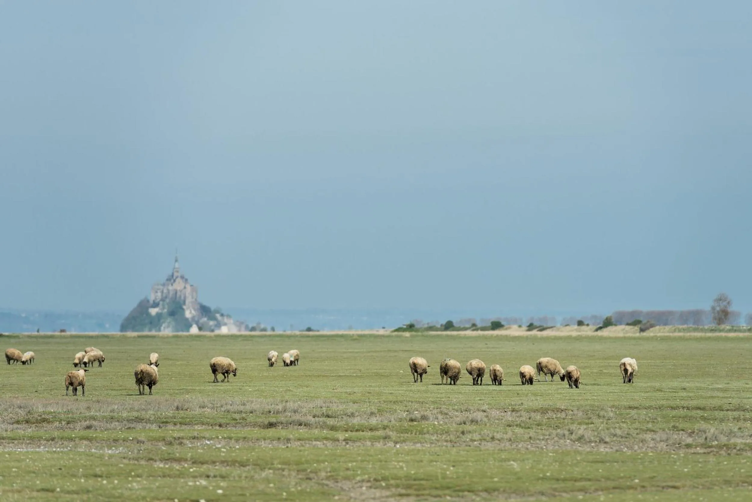 Nearby landmark in Auberge de la Baie