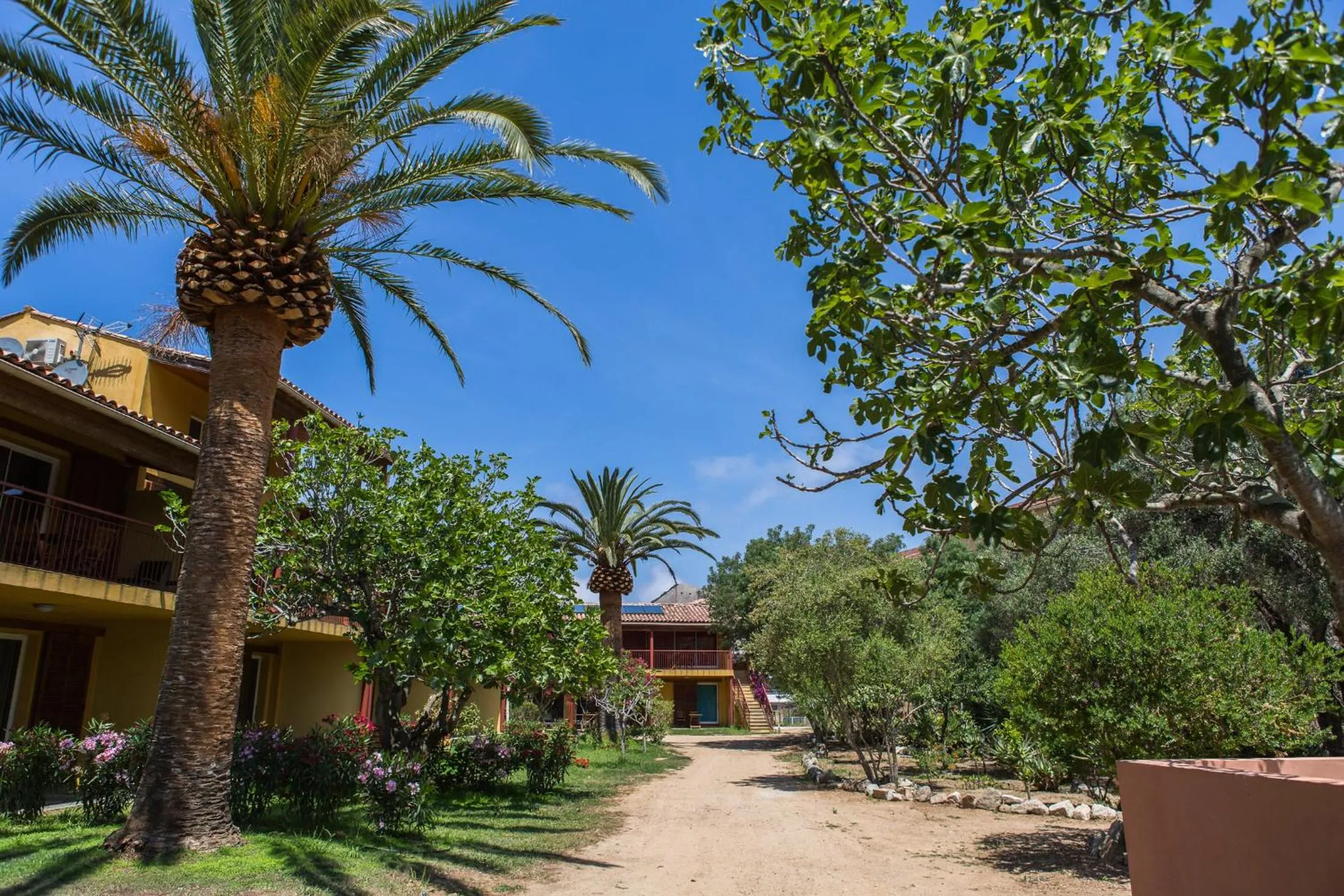 Garden in Casa Vecchia rooms + apartments