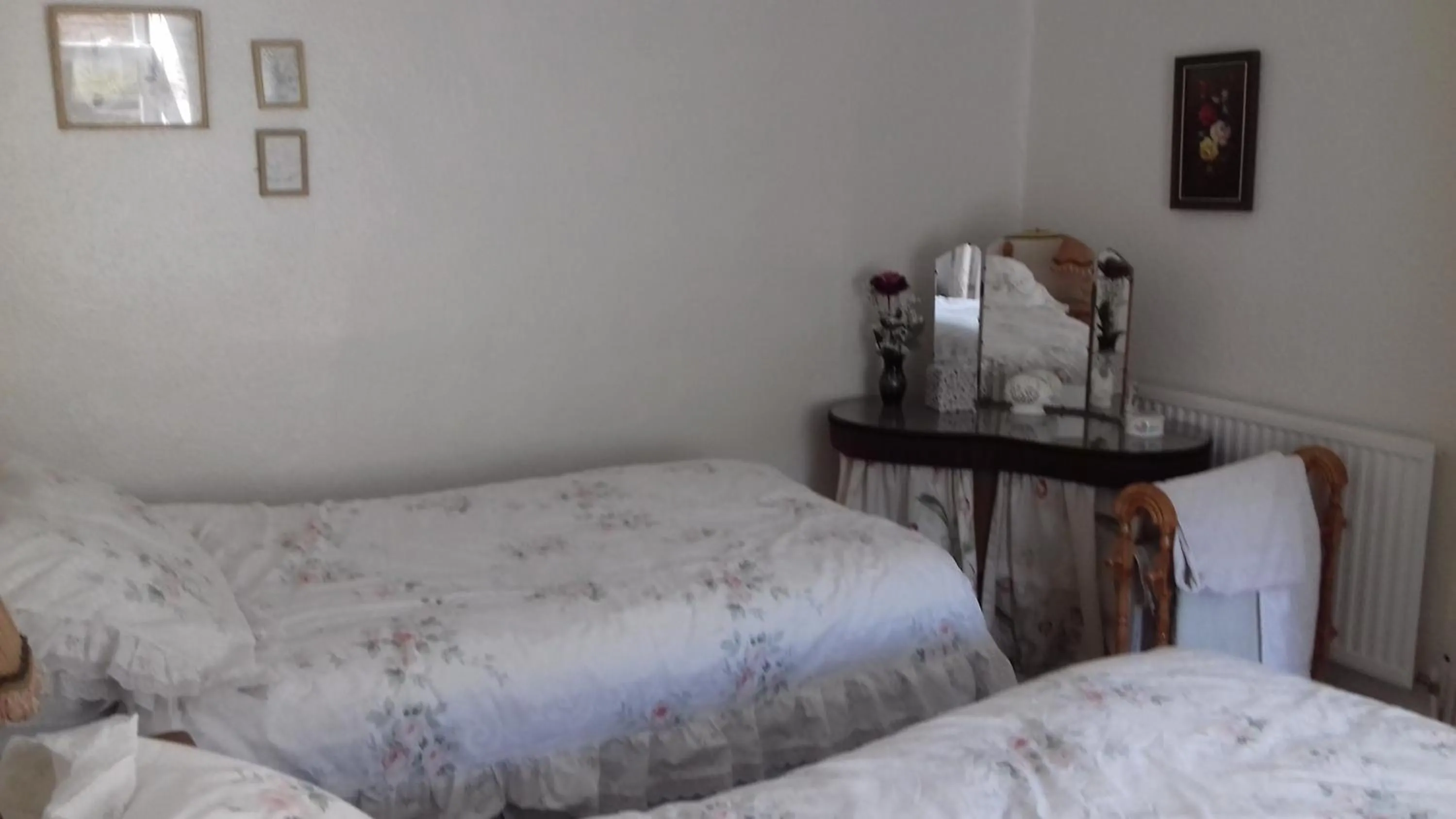 Twin Room with Bathroom in Hills Farm B&B Laugharne