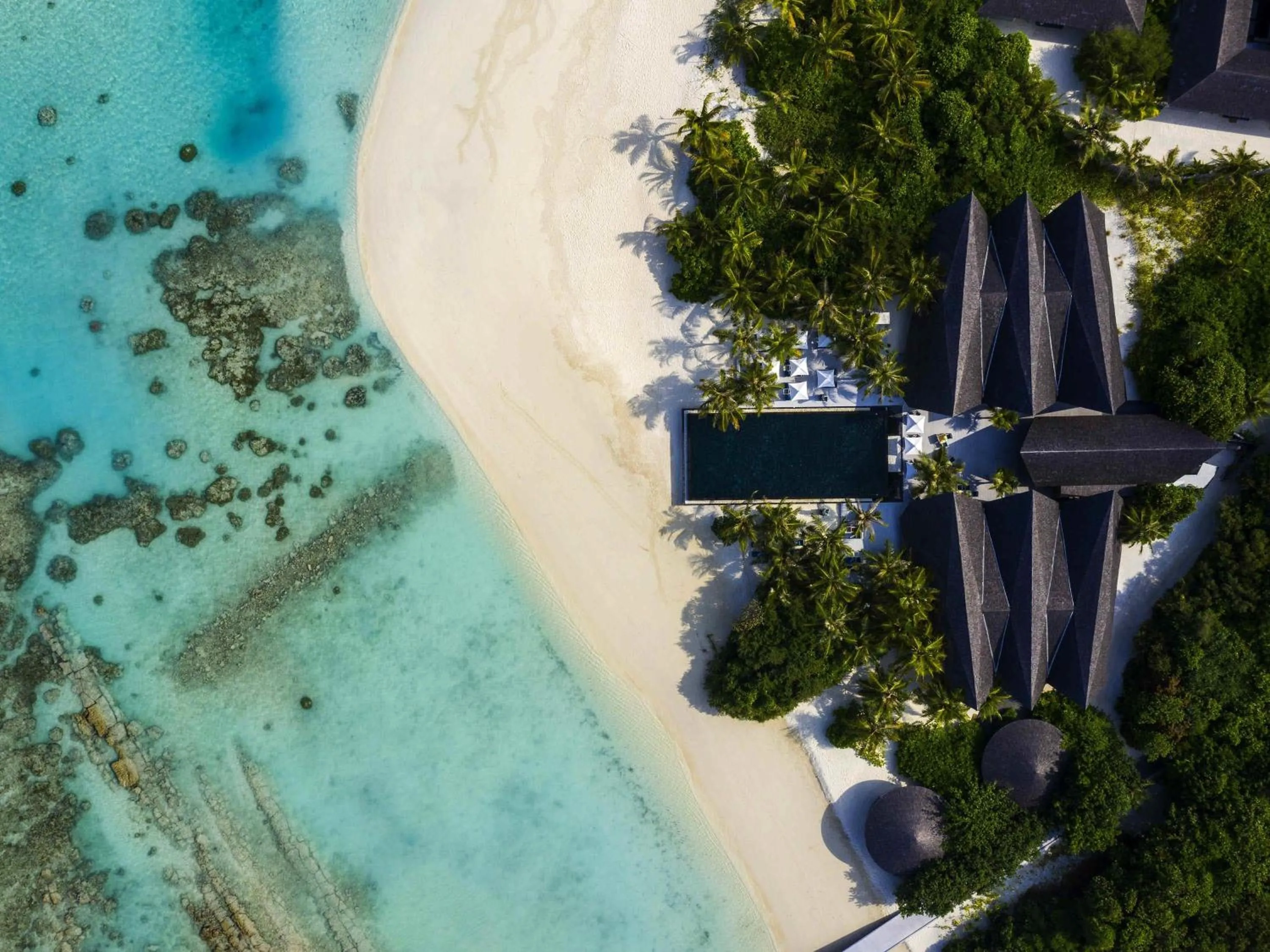 Pool view in Kuredhivaru Resort and Spa - Maldives