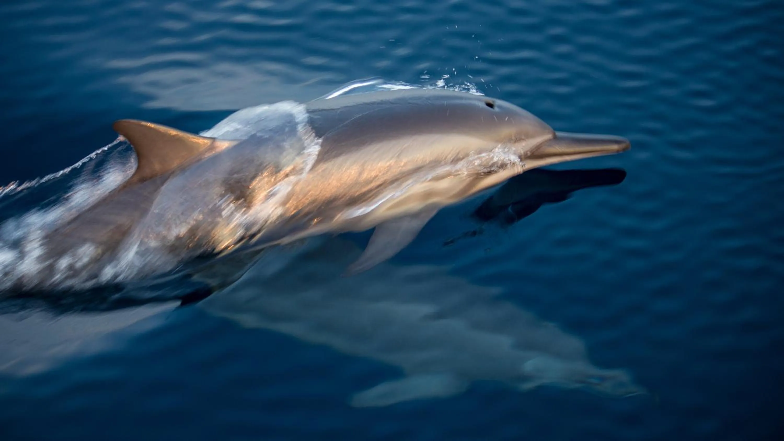 Natural landscape in Kuredhivaru Resort and Spa - Maldives