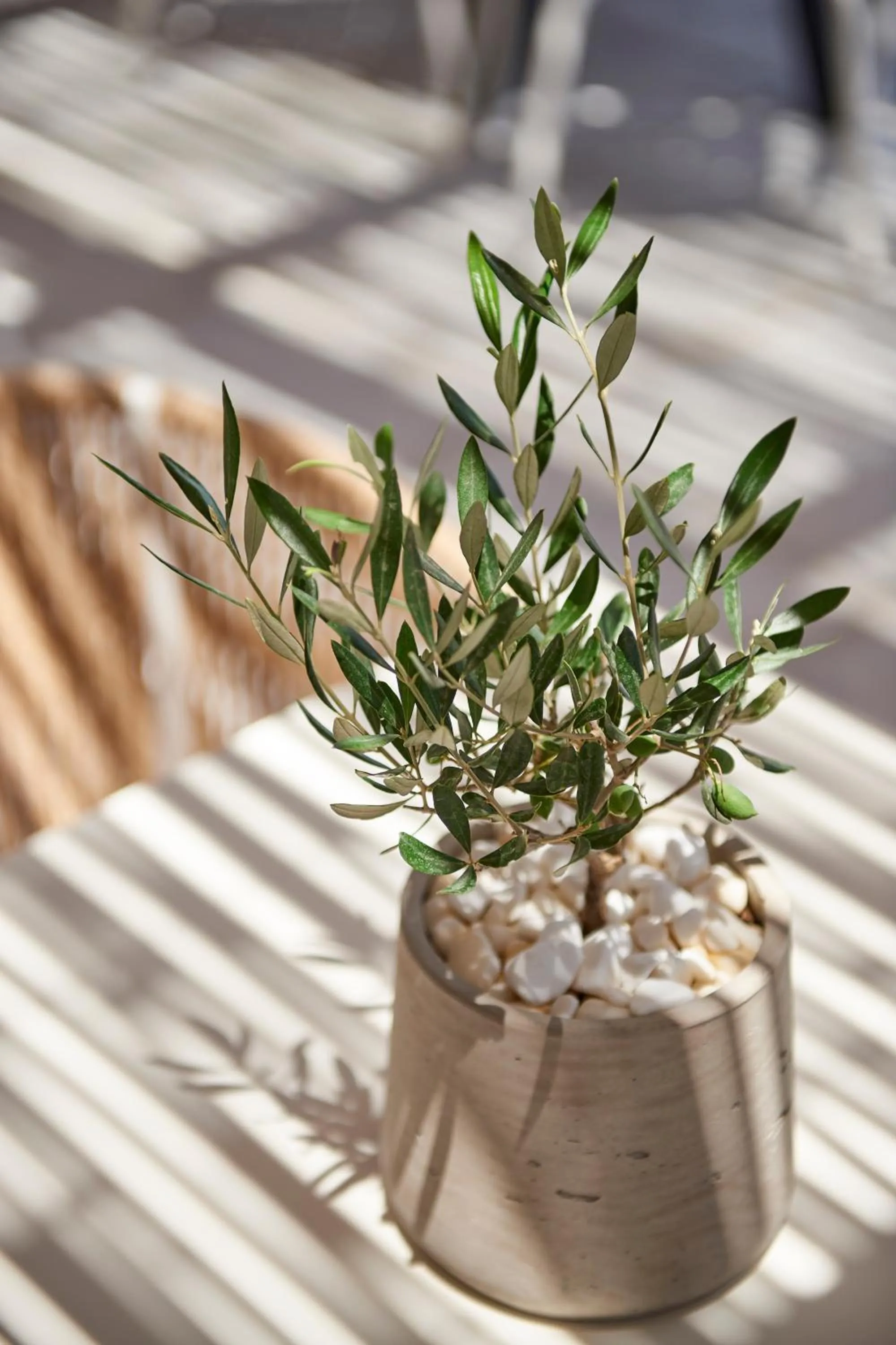 Day in Summer Senses Luxury Resort