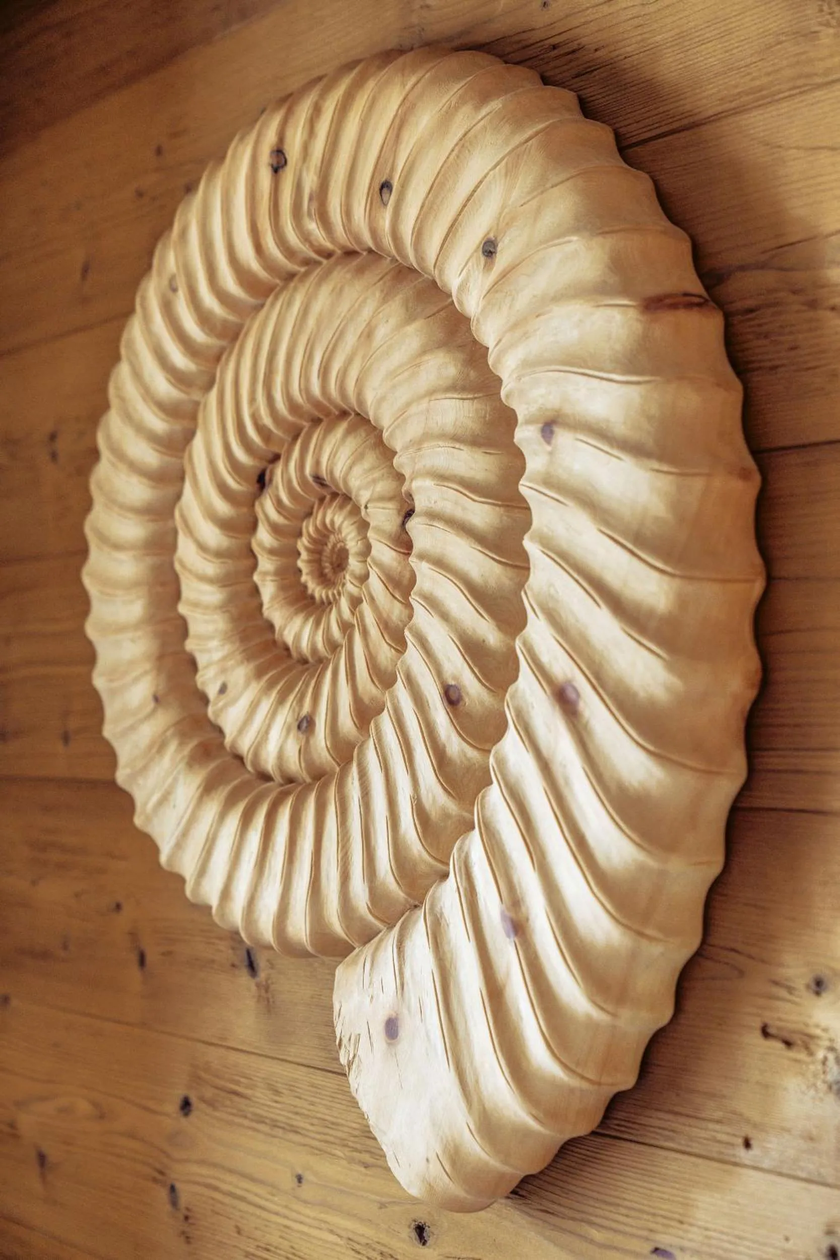 Hotel Villa Alpina ***S