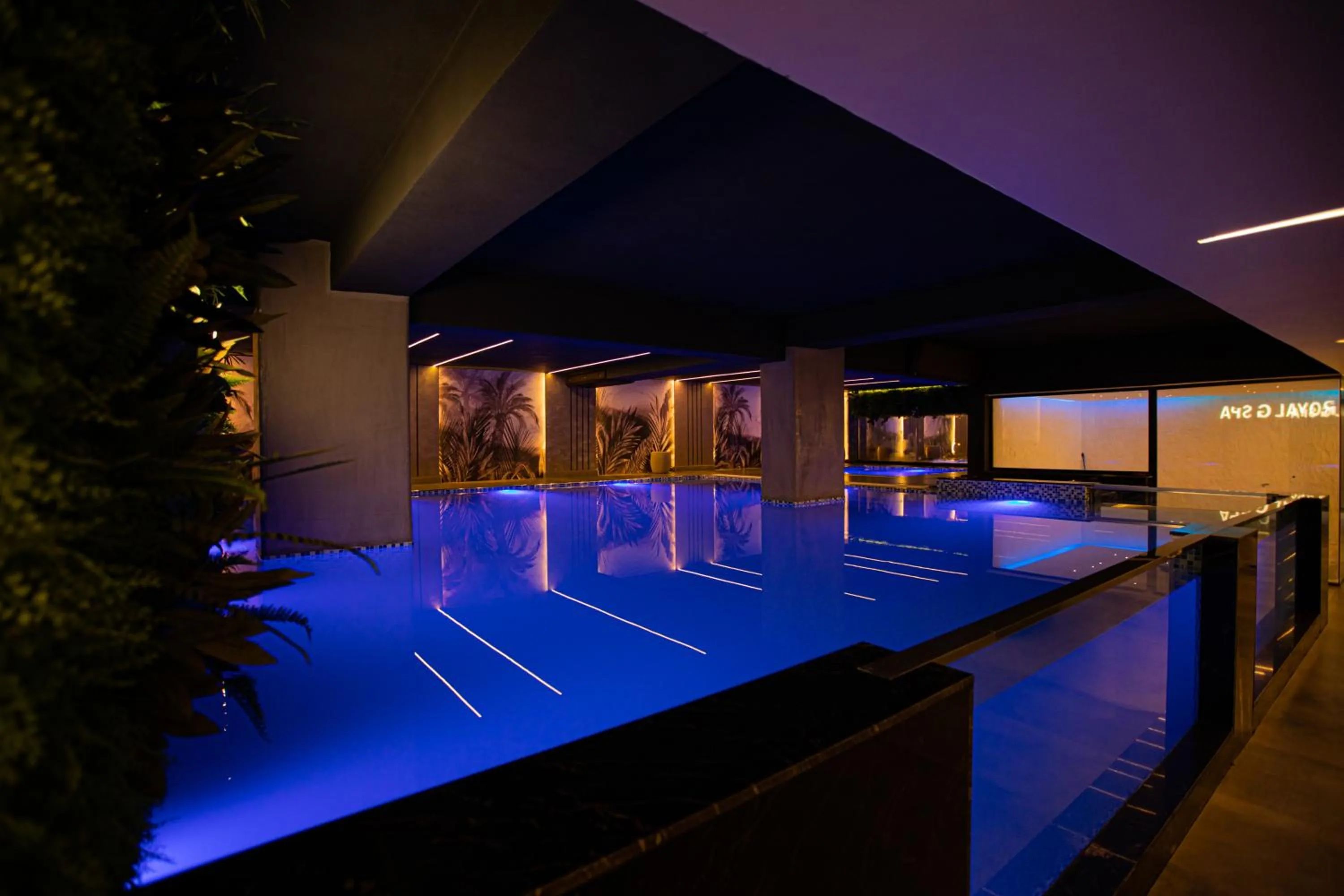 Swimming pool in Royal G Hotel & SPA 4 Star