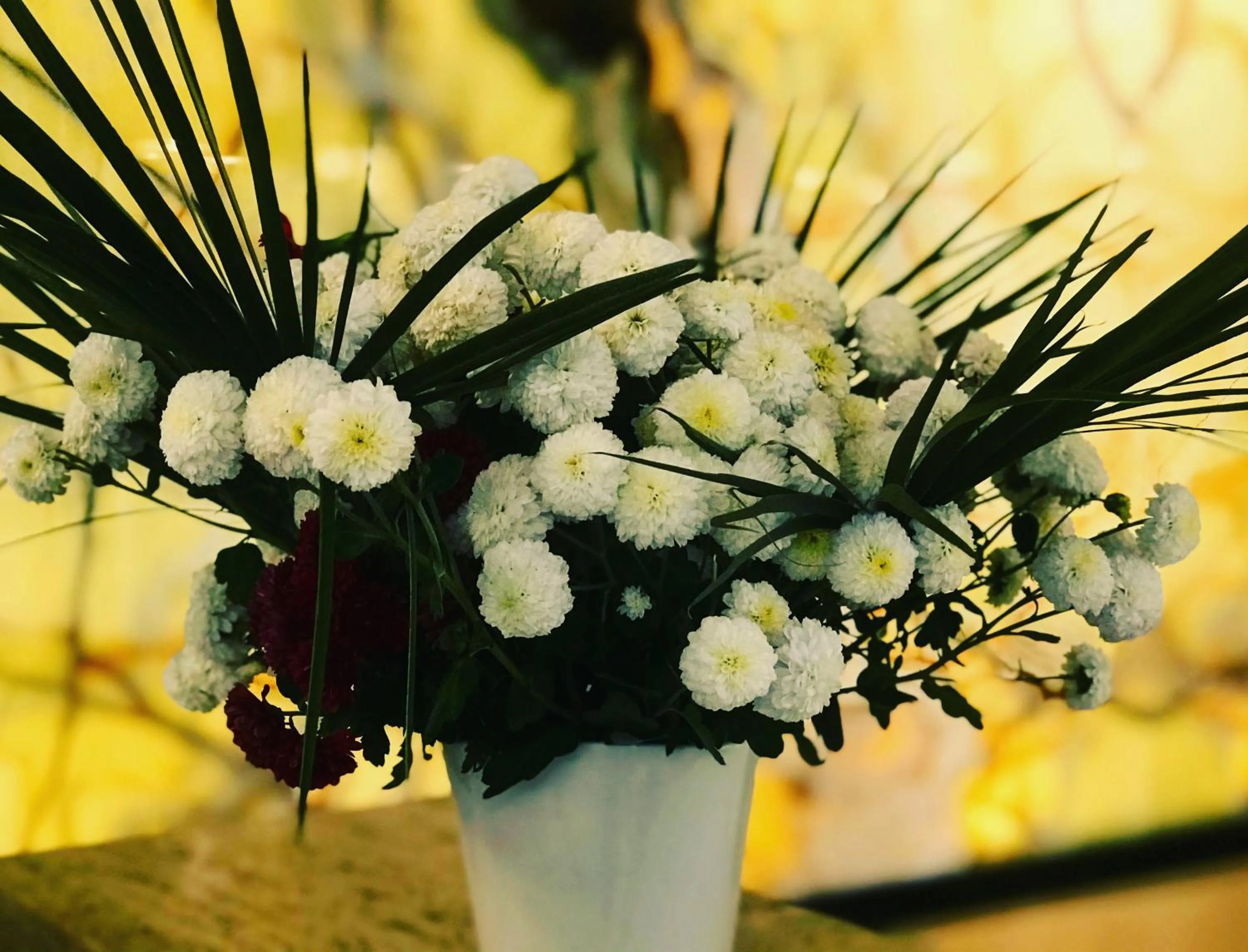 Garden in Royal G Hotel & SPA 4 Star