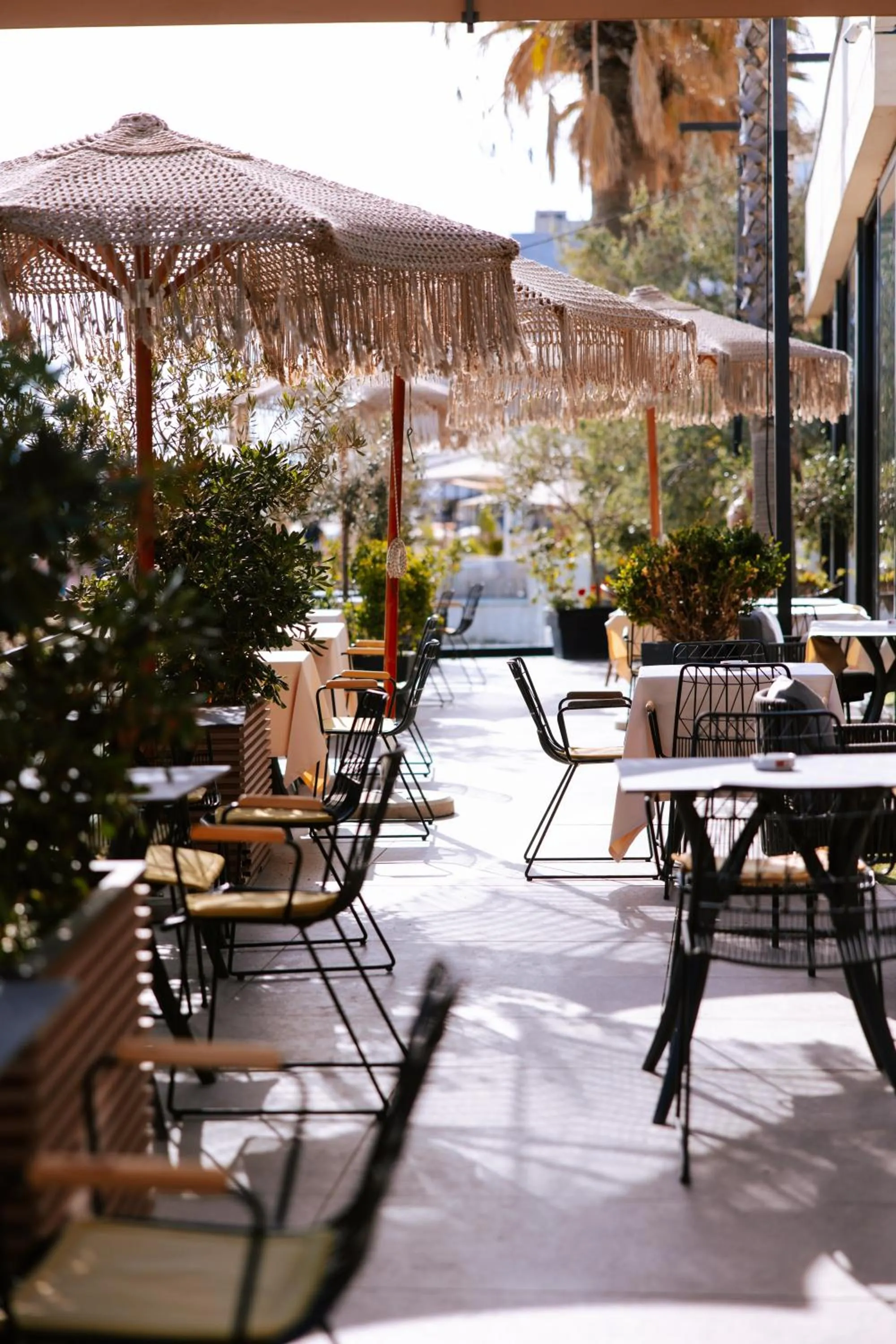 Restaurant/places to eat in Royal G Hotel & SPA 4 Star