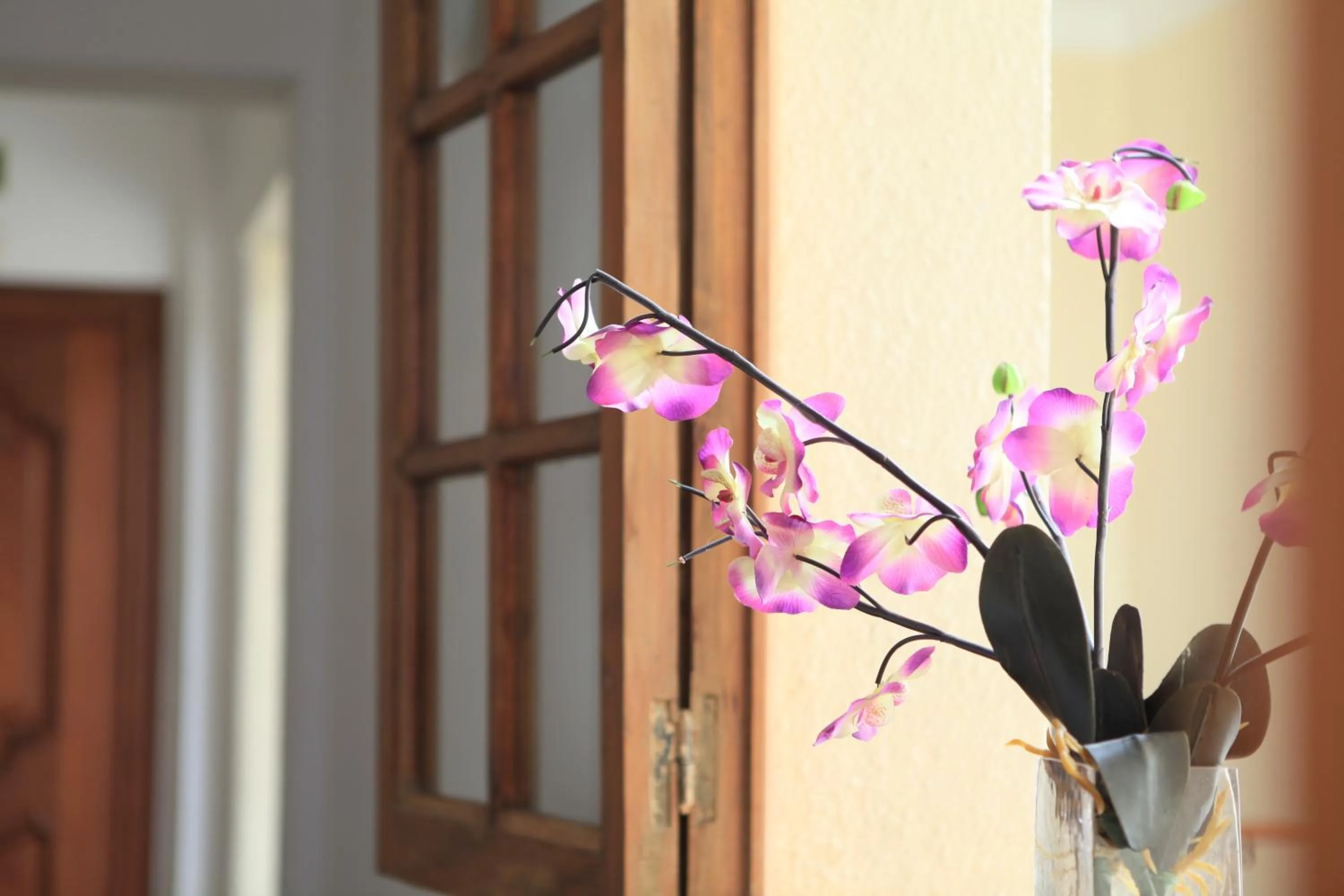 Other in Hotel El Coloso