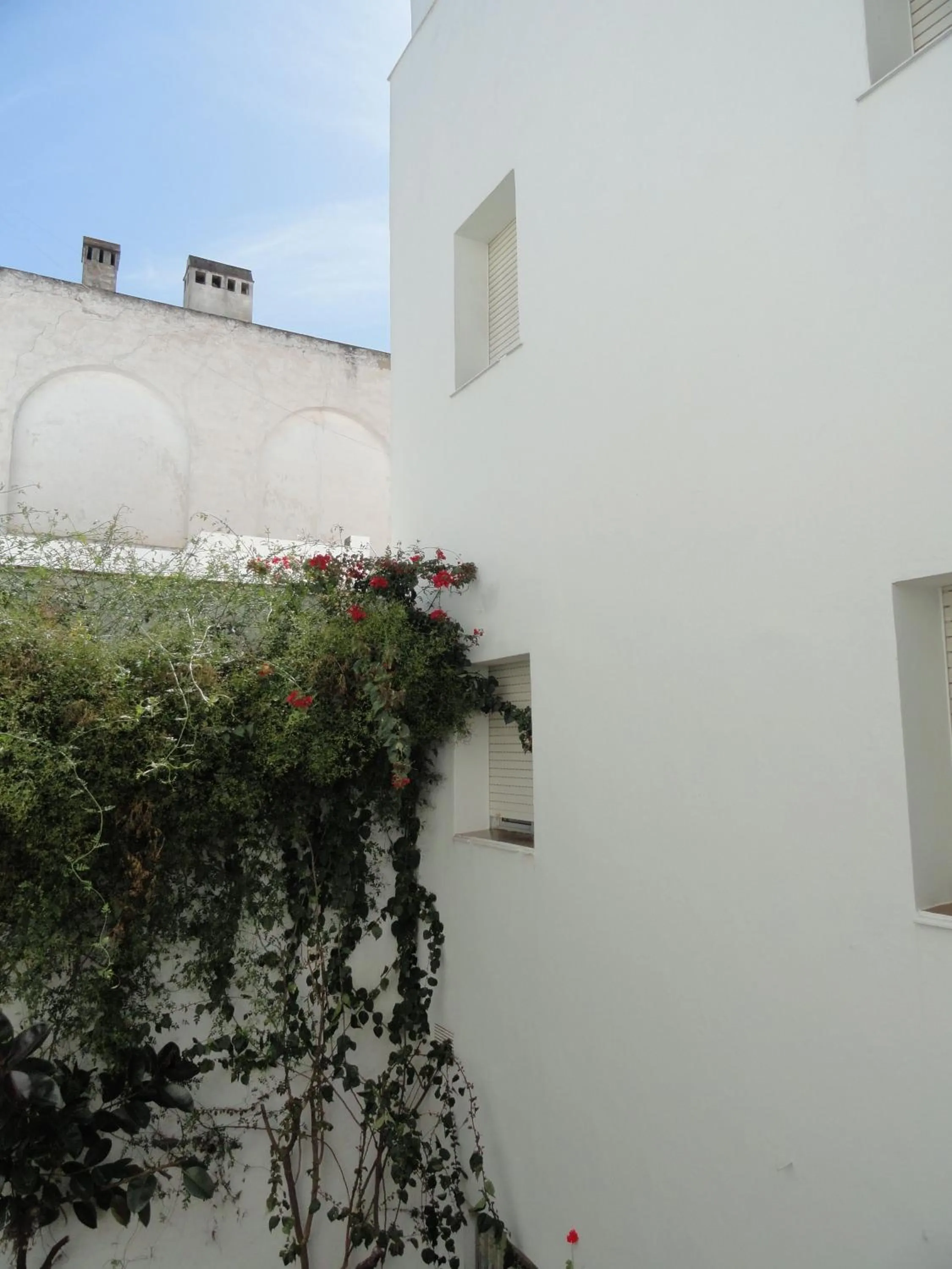 Day in Hotel El Coloso