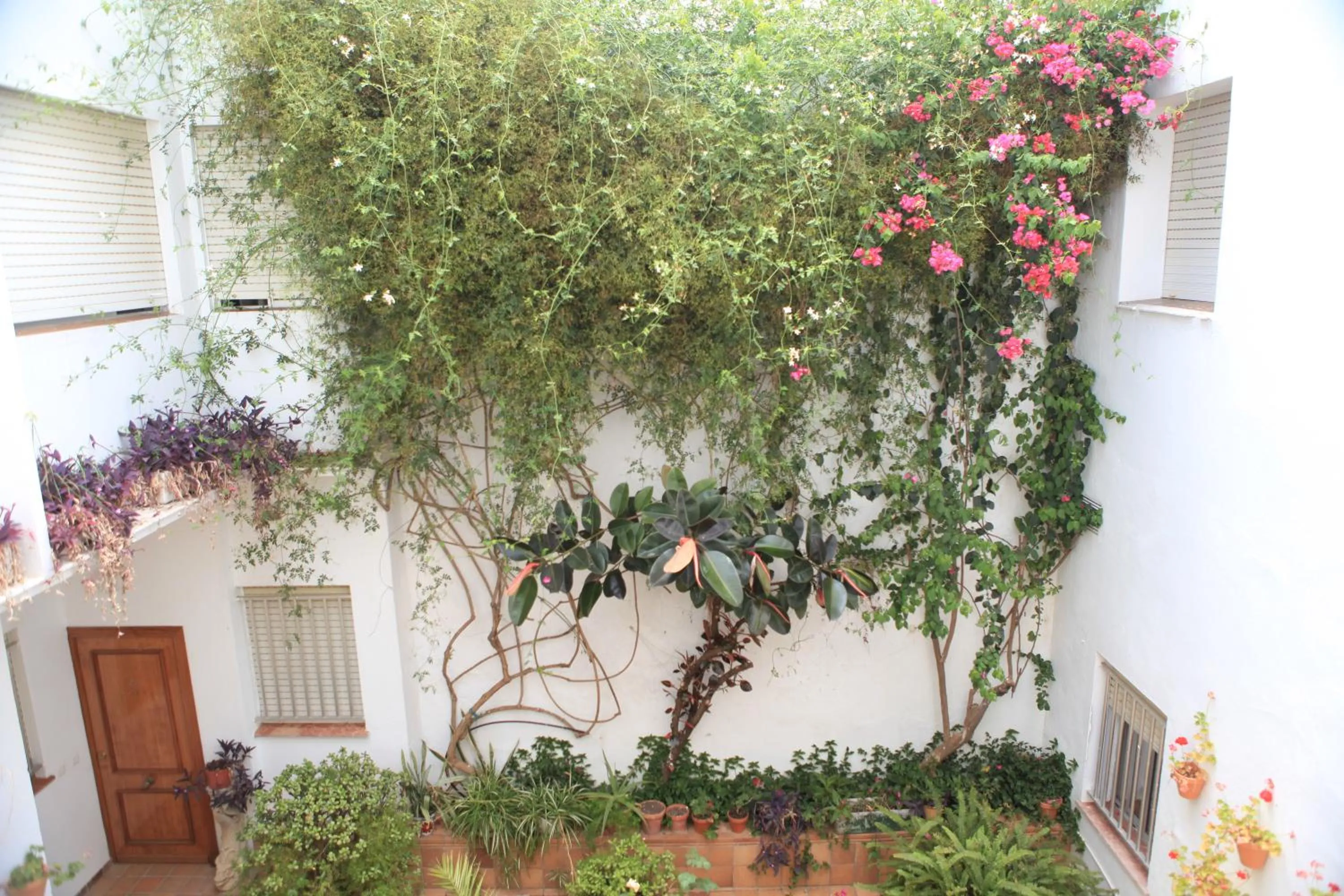 Day in Hotel El Coloso