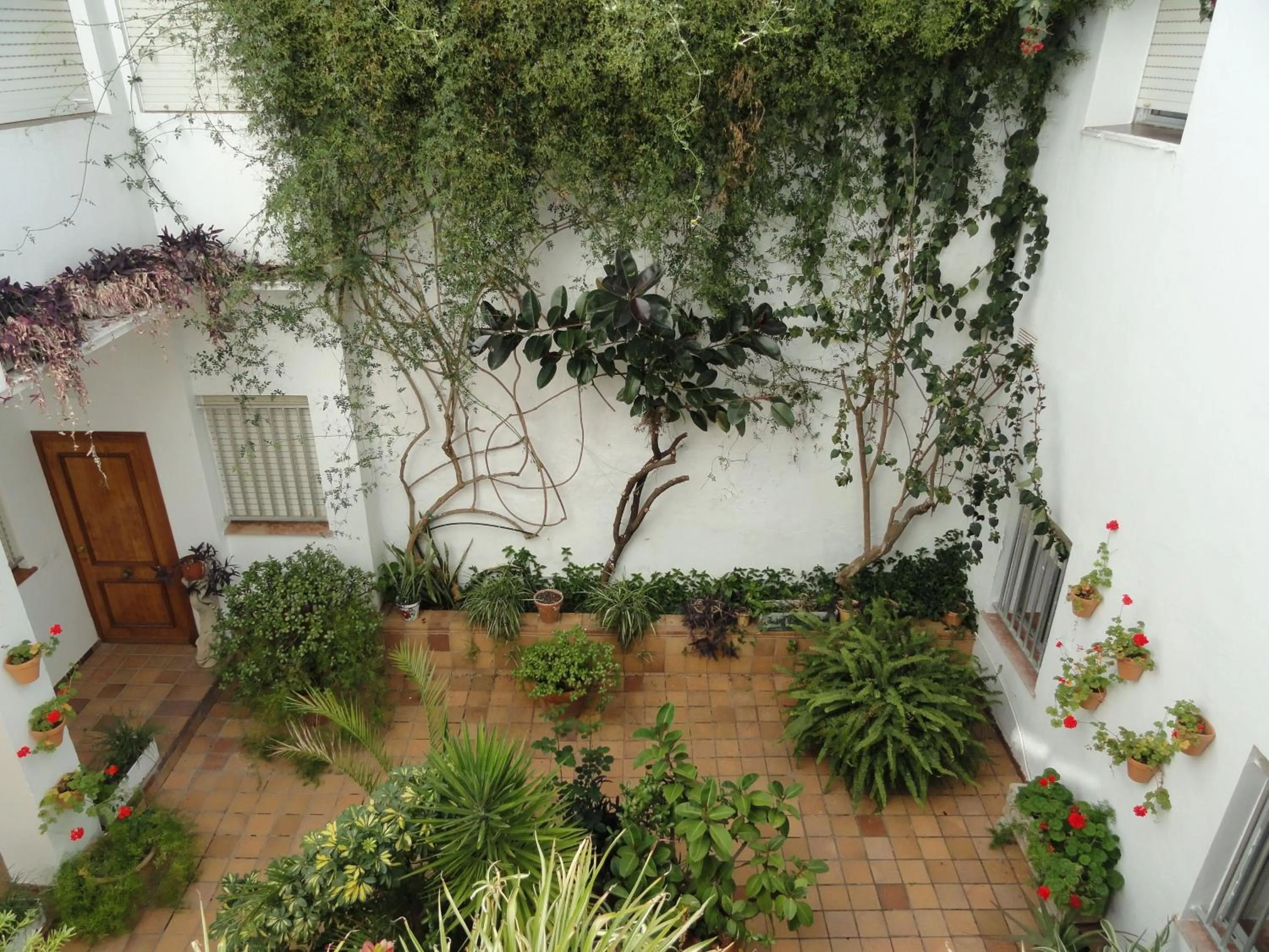 Other in Hotel El Coloso