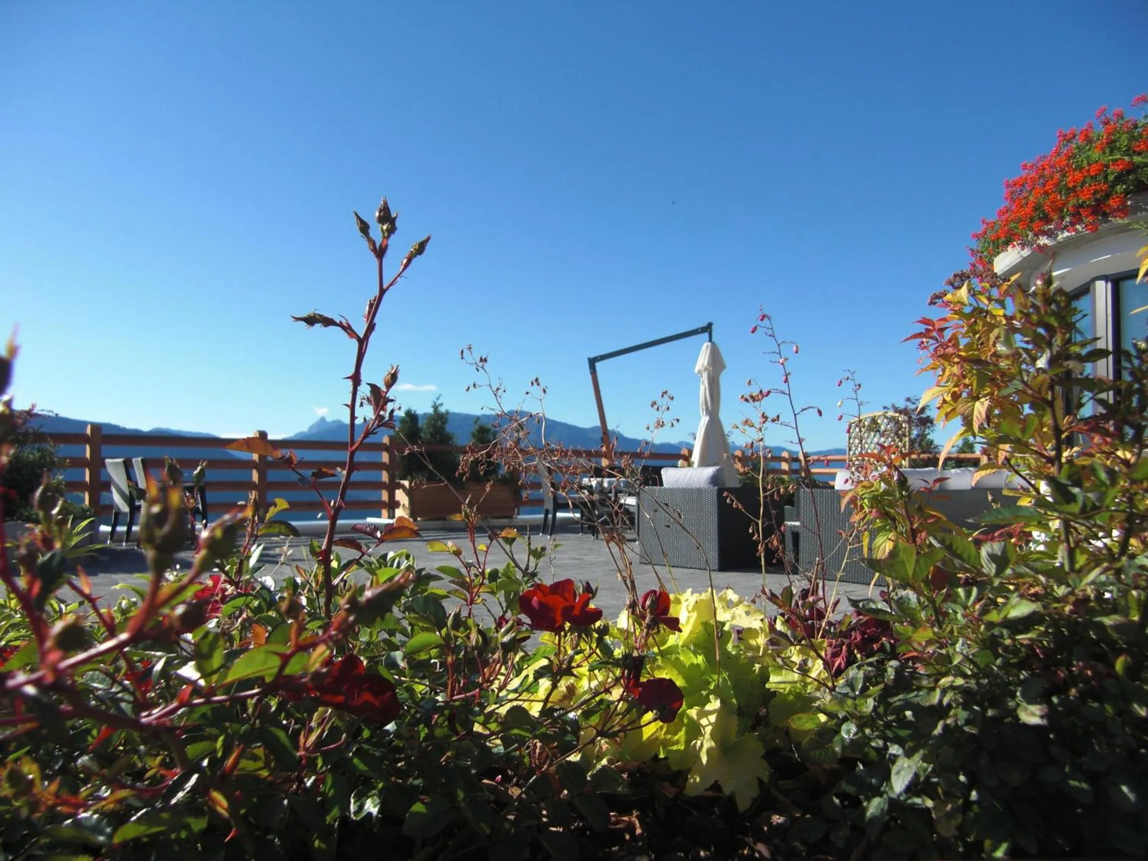 Balcony/Terrace in Pension Wiesenrain