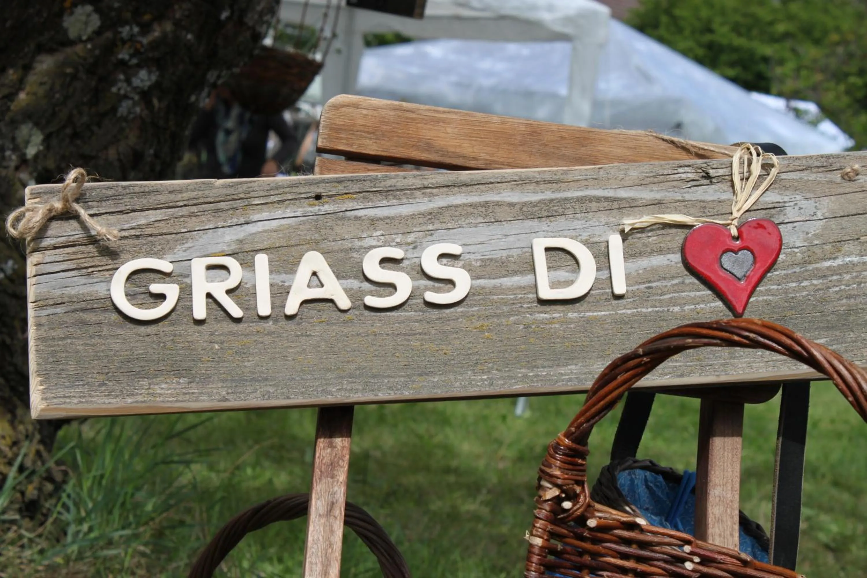 Area and facilities in Pension Wiesenrain