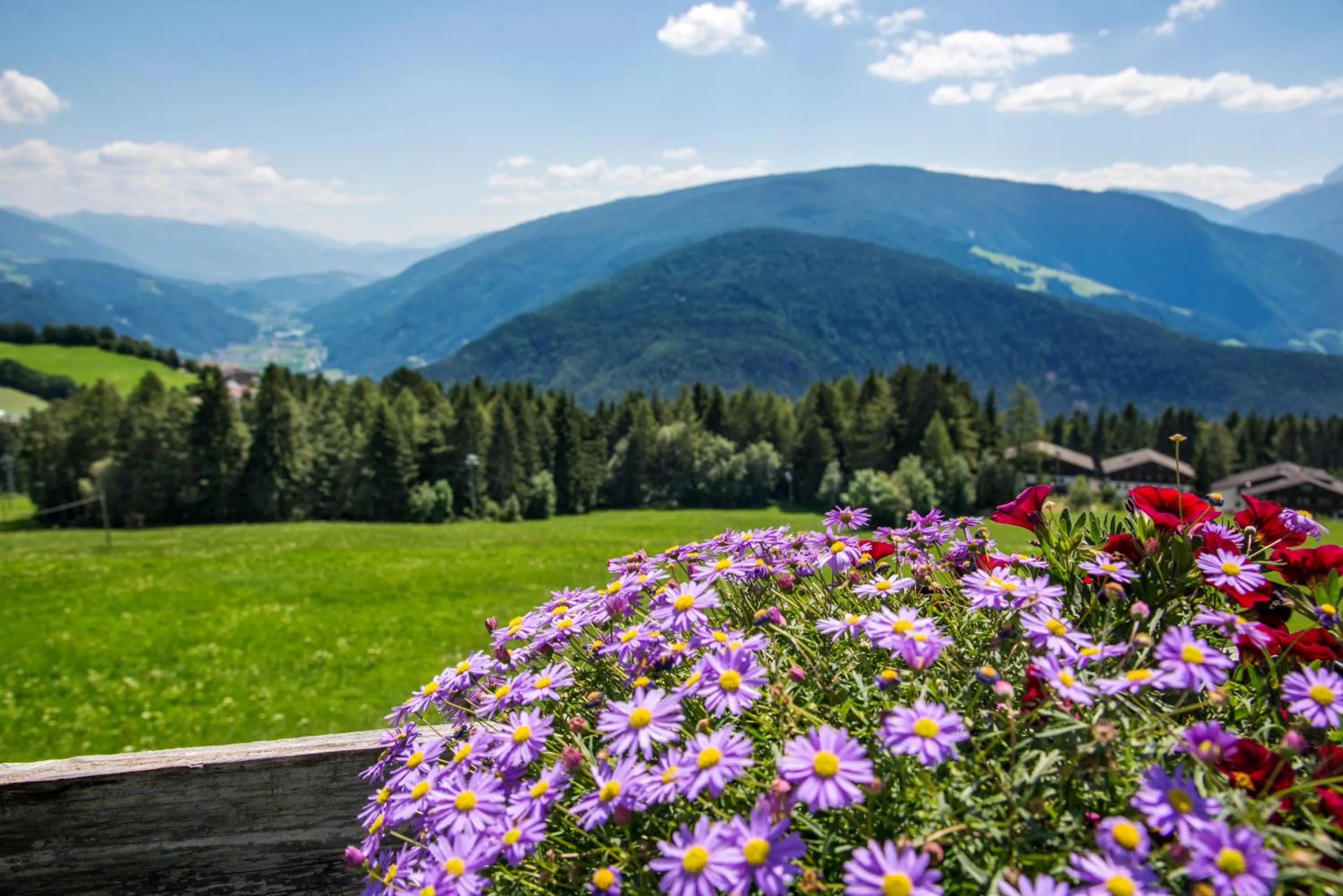 On site in Pension Wiesenrain