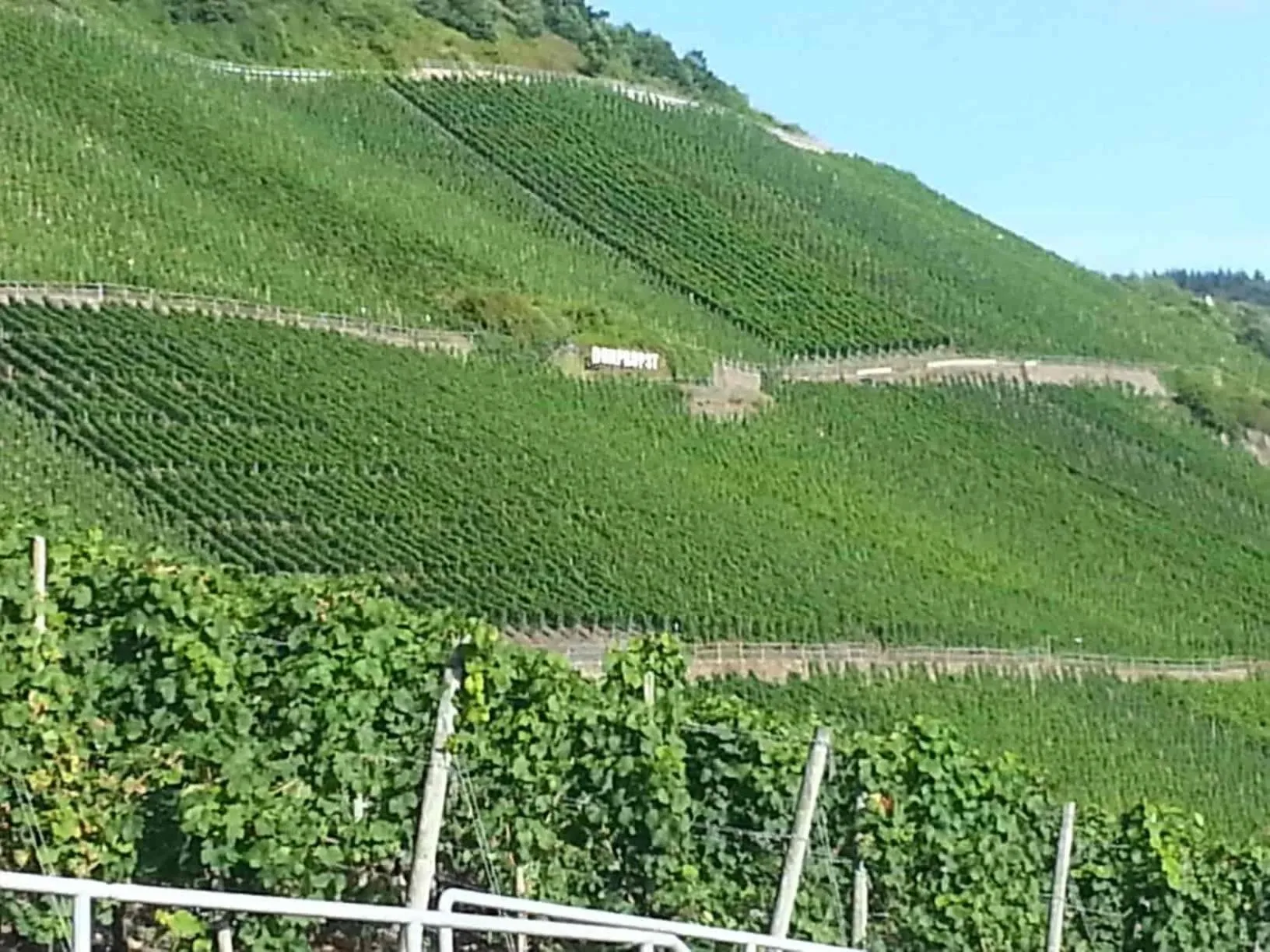 Natural landscape in Weinhaus Hotel zum Josefshof