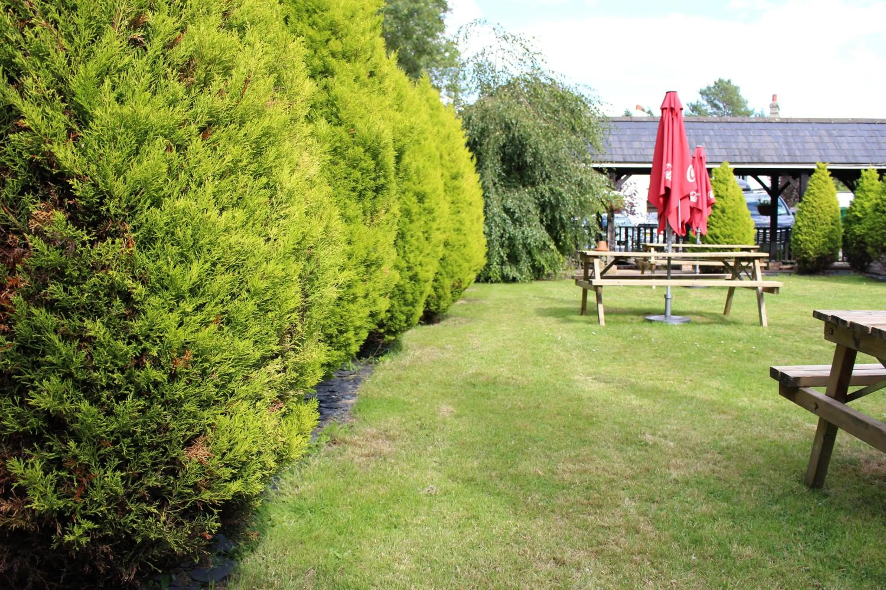 Garden in The Lord Byron Inn