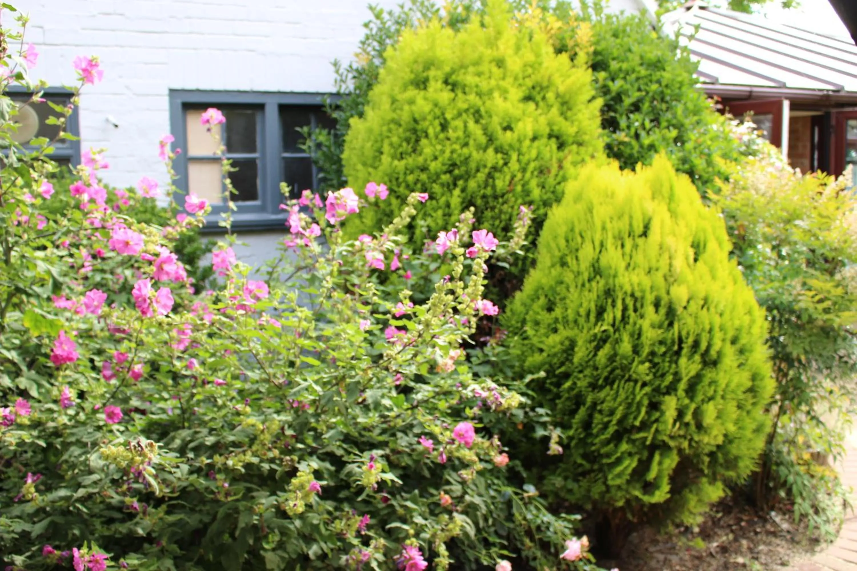 Garden in The Lord Byron Inn