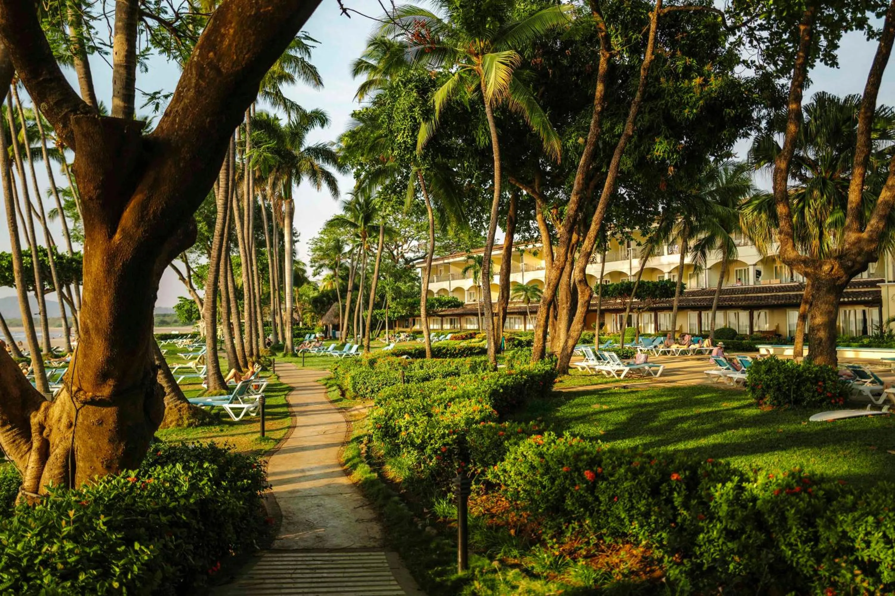 Garden in Hotel Tamarindo Diria Beach Resort