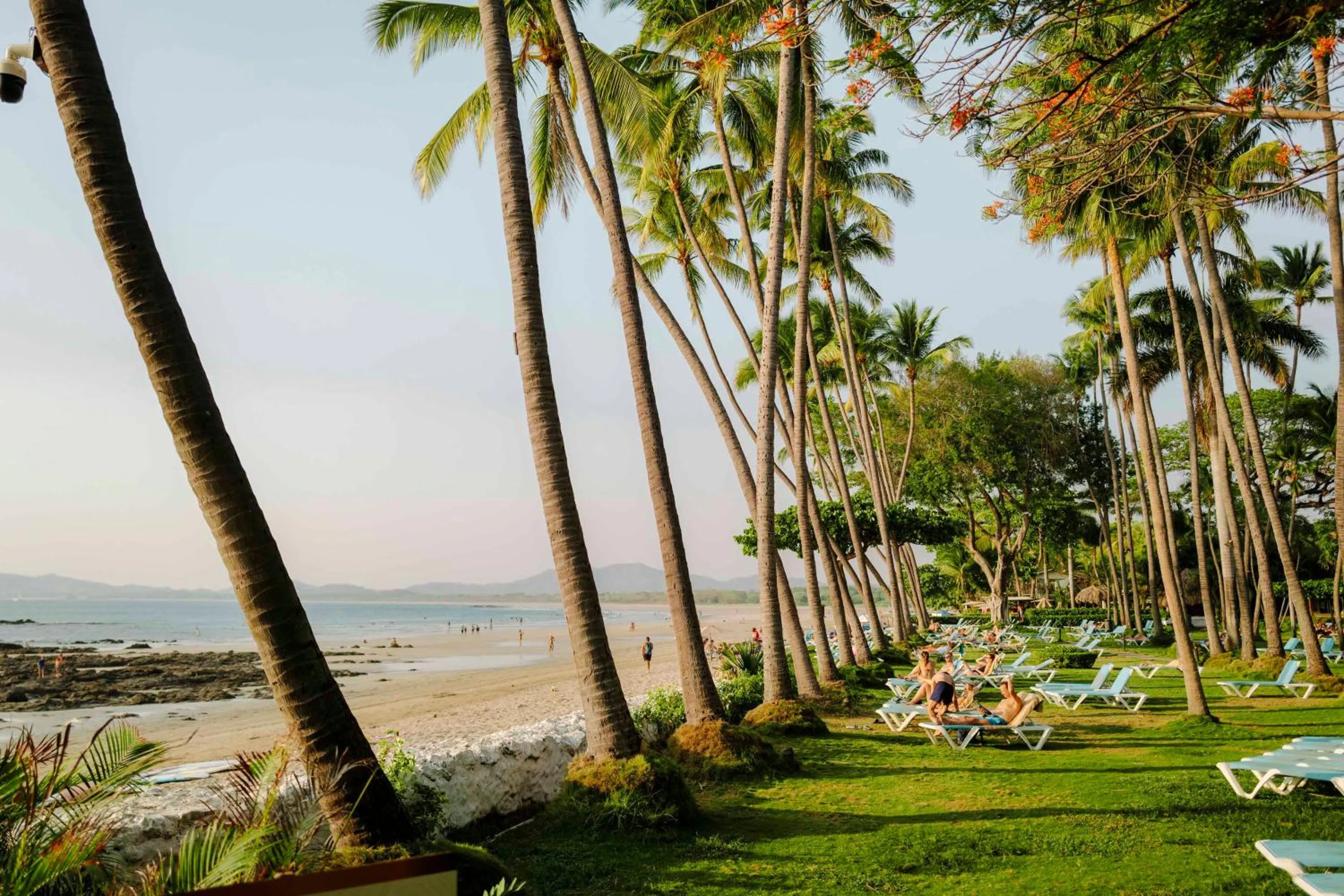 Garden in Hotel Tamarindo Diria Beach Resort