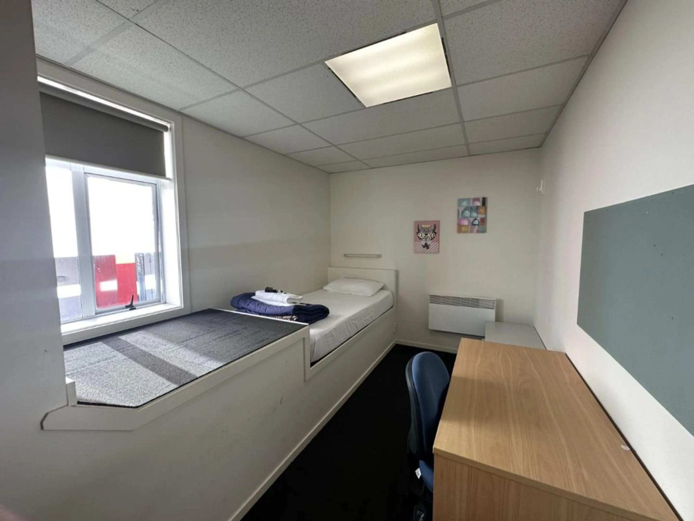 Bed in Trek Global Backpackers