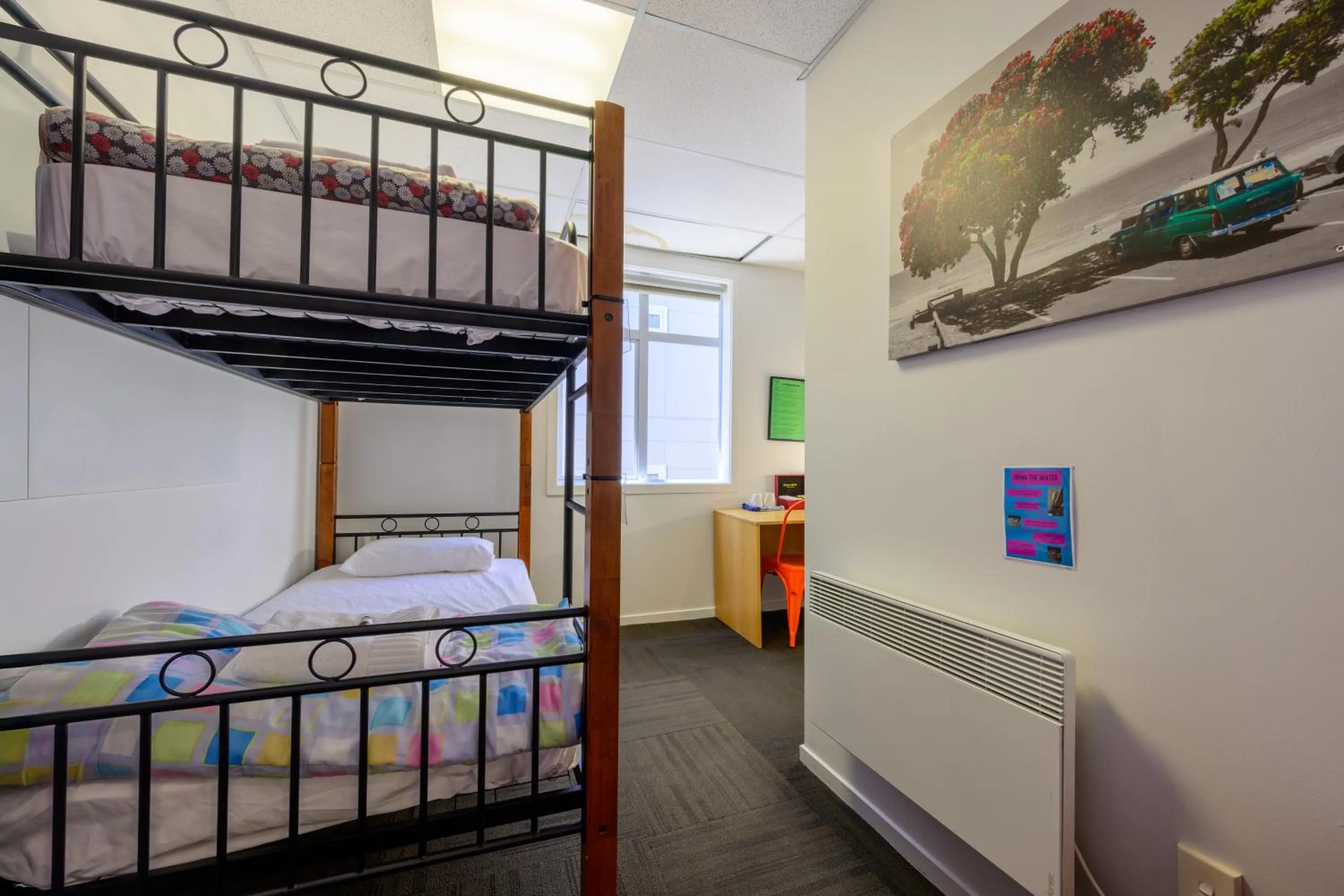 Bed in Trek Global Backpackers