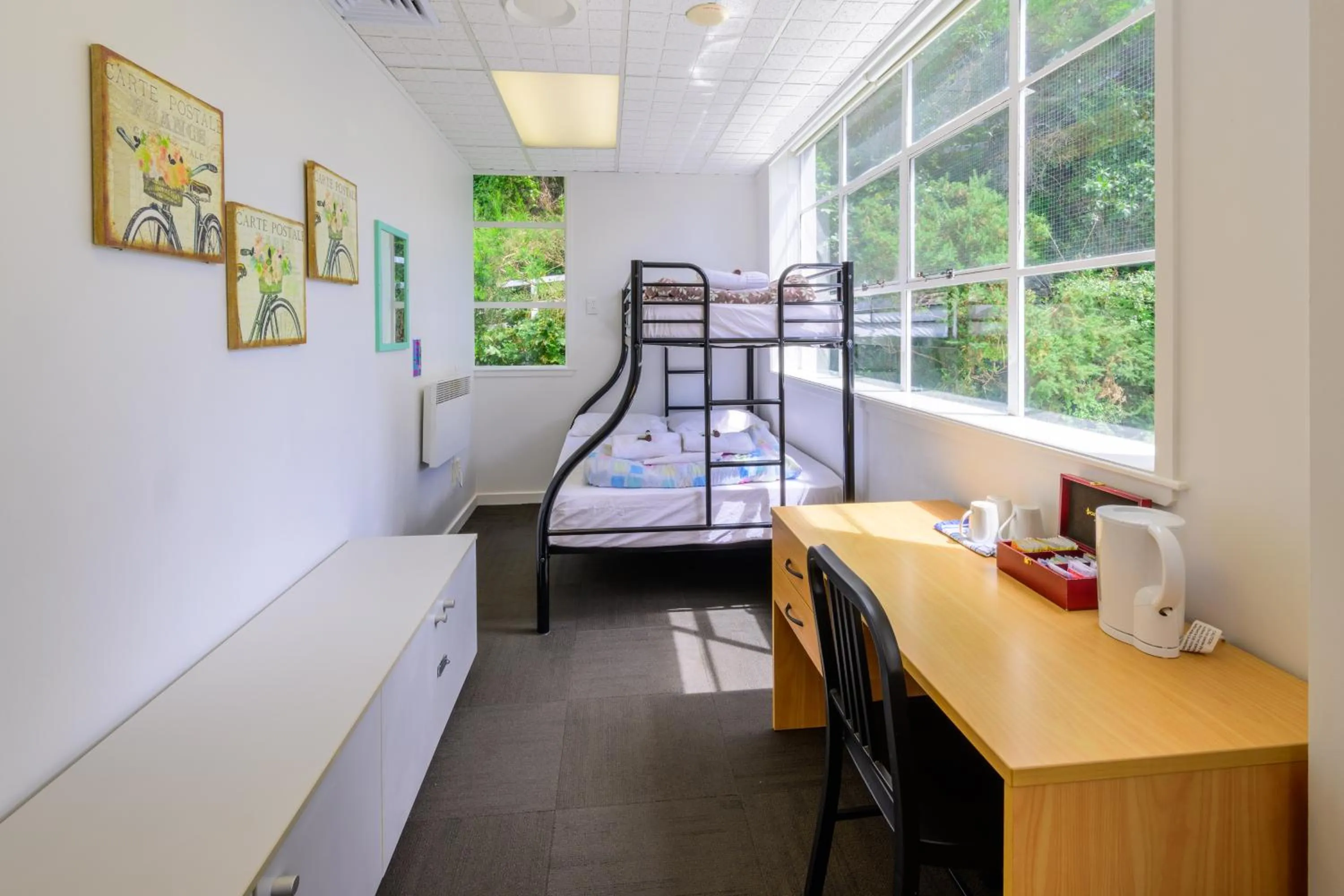 Bed in Trek Global Backpackers