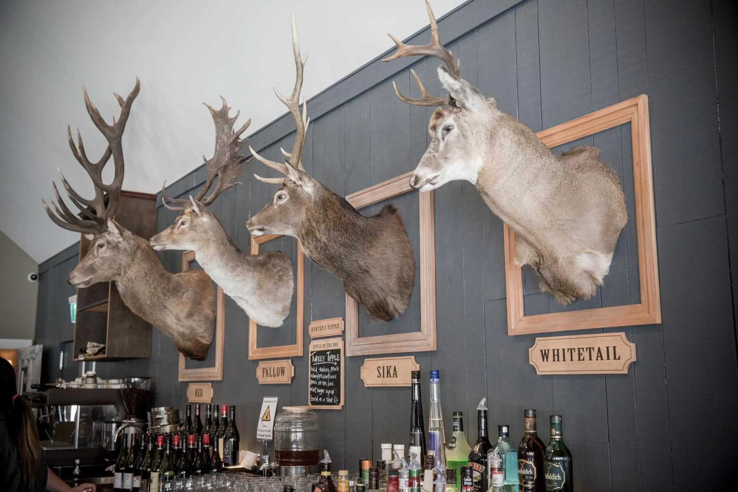 Restaurant/places to eat in The Harvest Hotel