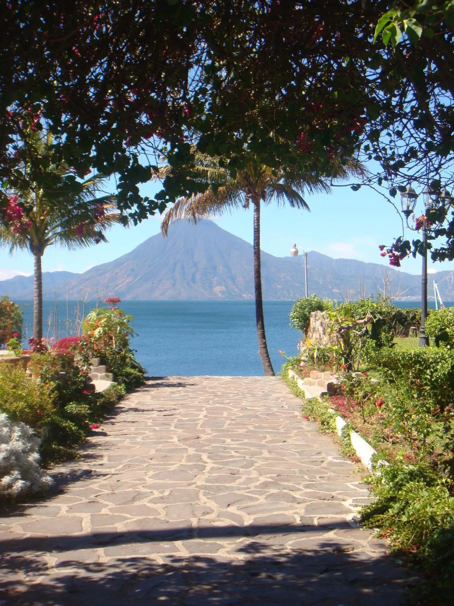 Natural landscape in Hotel y Centro de Convenciones Jardines del Lago