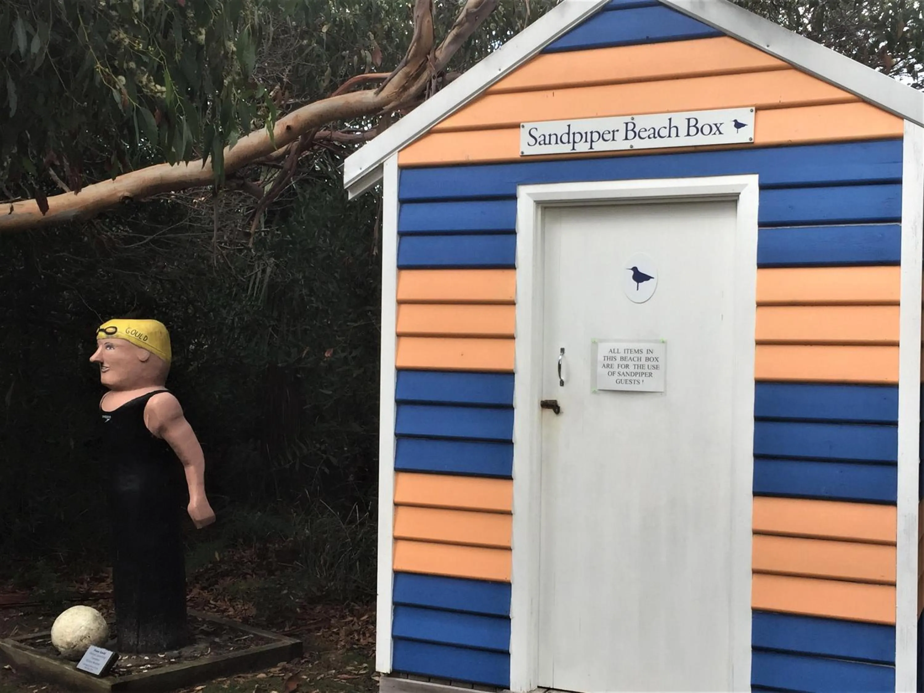 Entertainment in Sandpiper Ocean Cottages