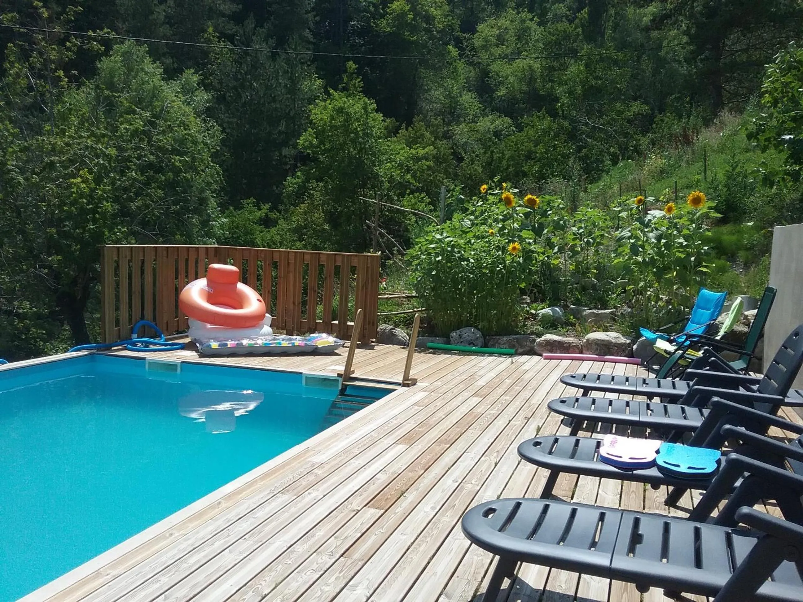 Swimming pool in L'arberc