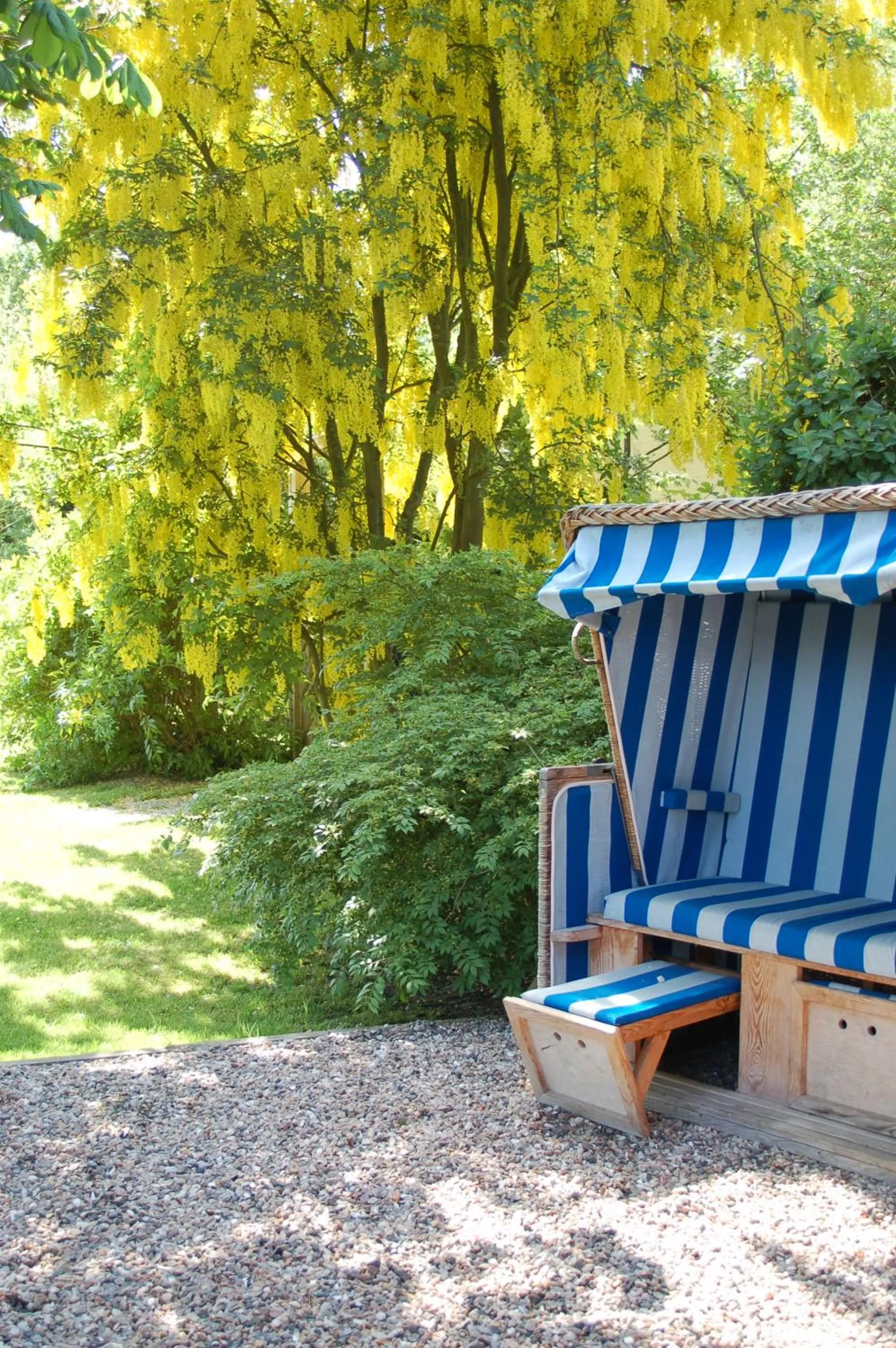 Garden in Hotel F-RITZ